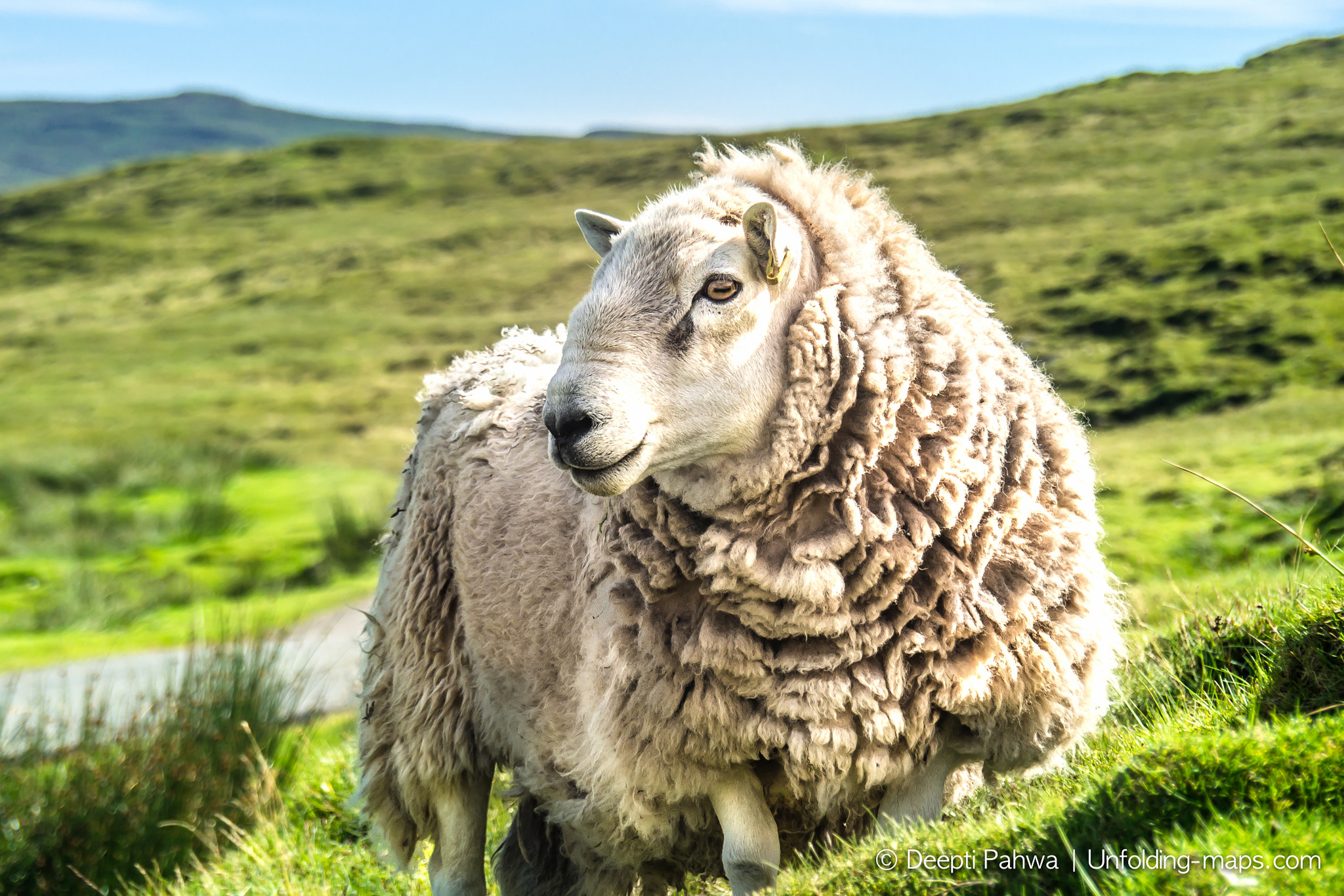 OLYMPUS M.14-150mm F4.0-5.6 II sample photo. Stunning scotland photography