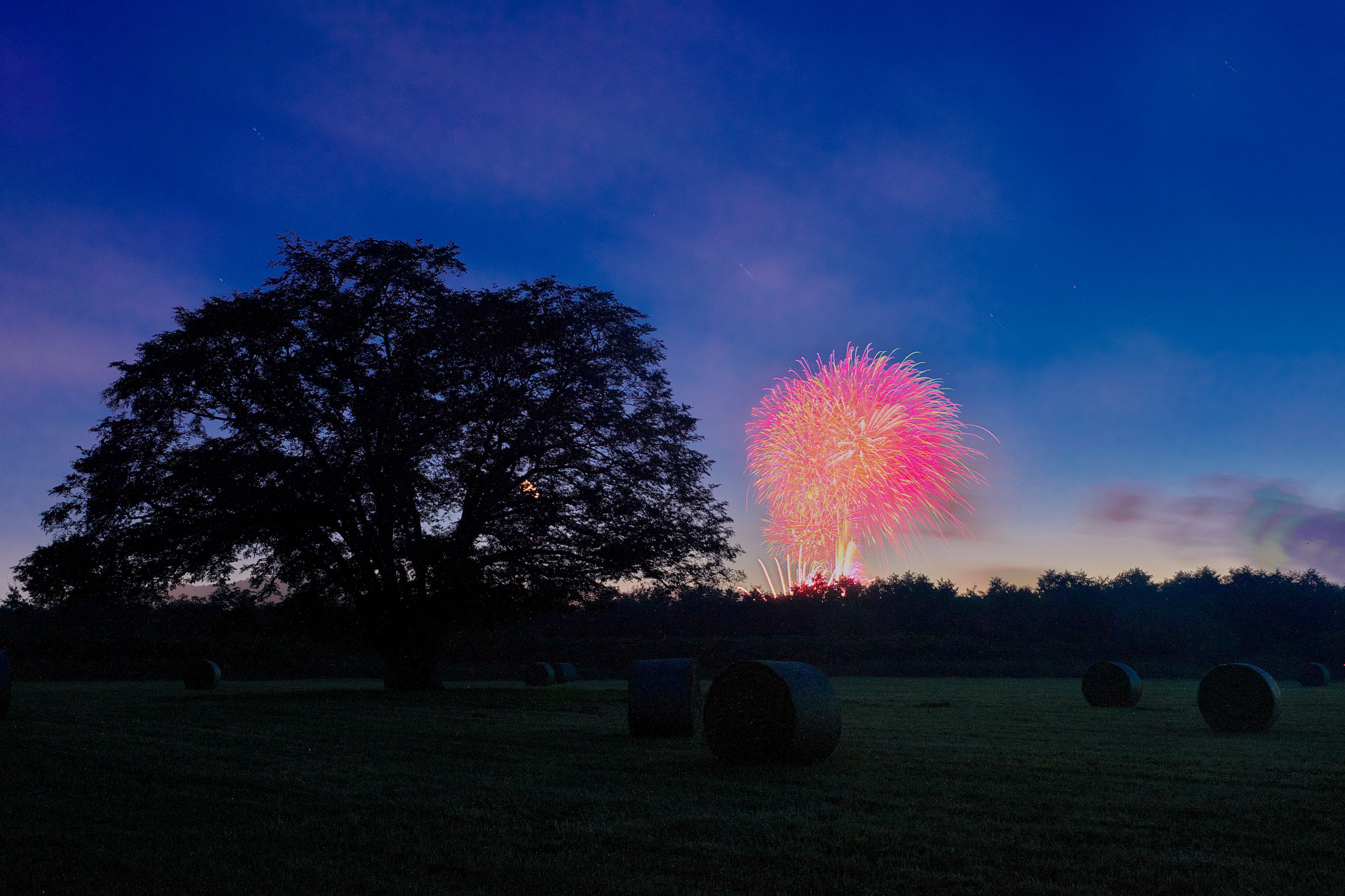 Sony SLT-A77 sample photo. Dream co-starring photography