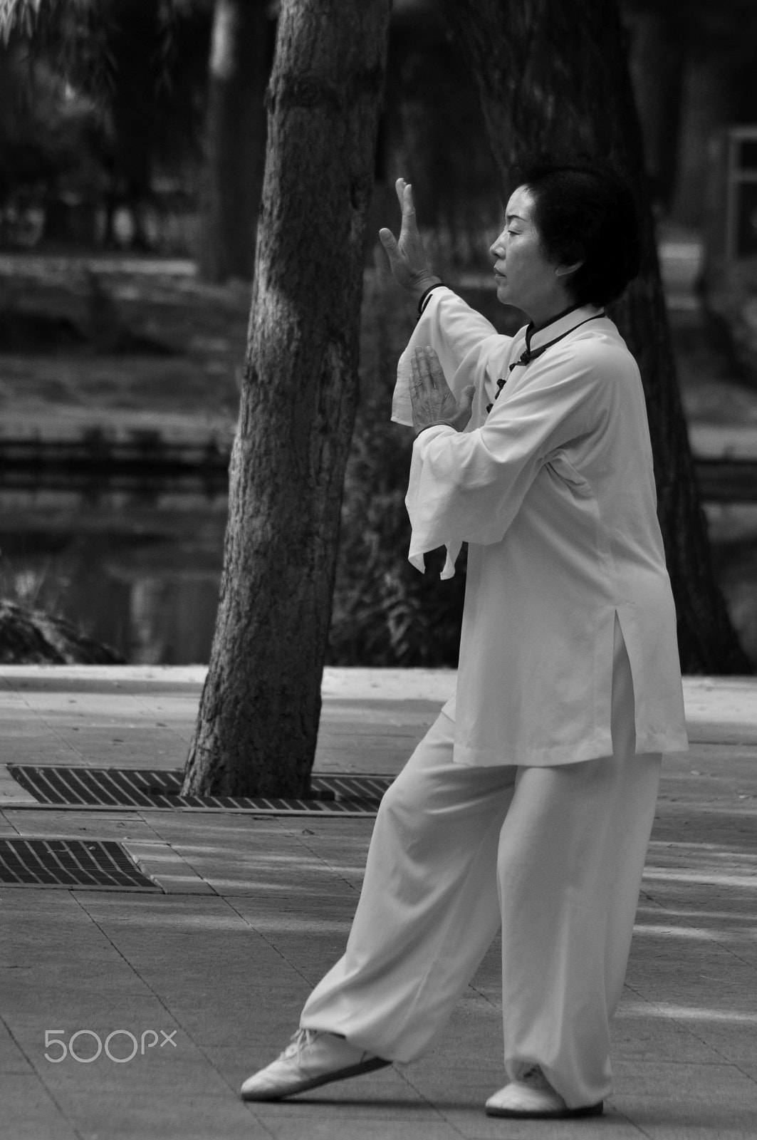 Nikon AF Nikkor 70-300mm F4-5.6G sample photo. Kung fu photography