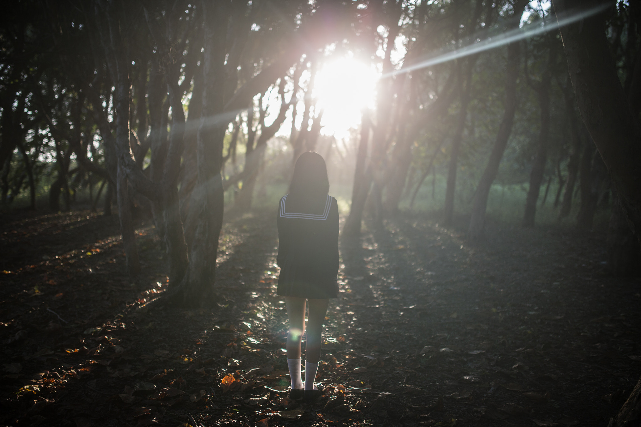 Sigma 35mm F1.4 DG HSM Art sample photo. 逆光少女 photography