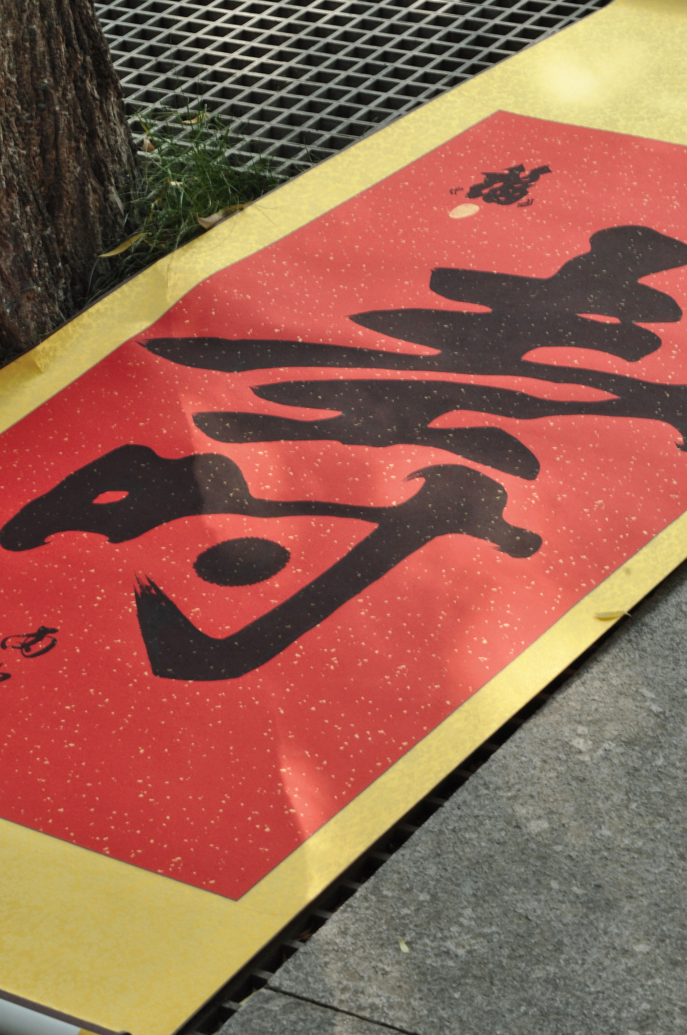 Nikon AF Nikkor 70-300mm F4-5.6G sample photo. Chinese calligraphy：long life photography