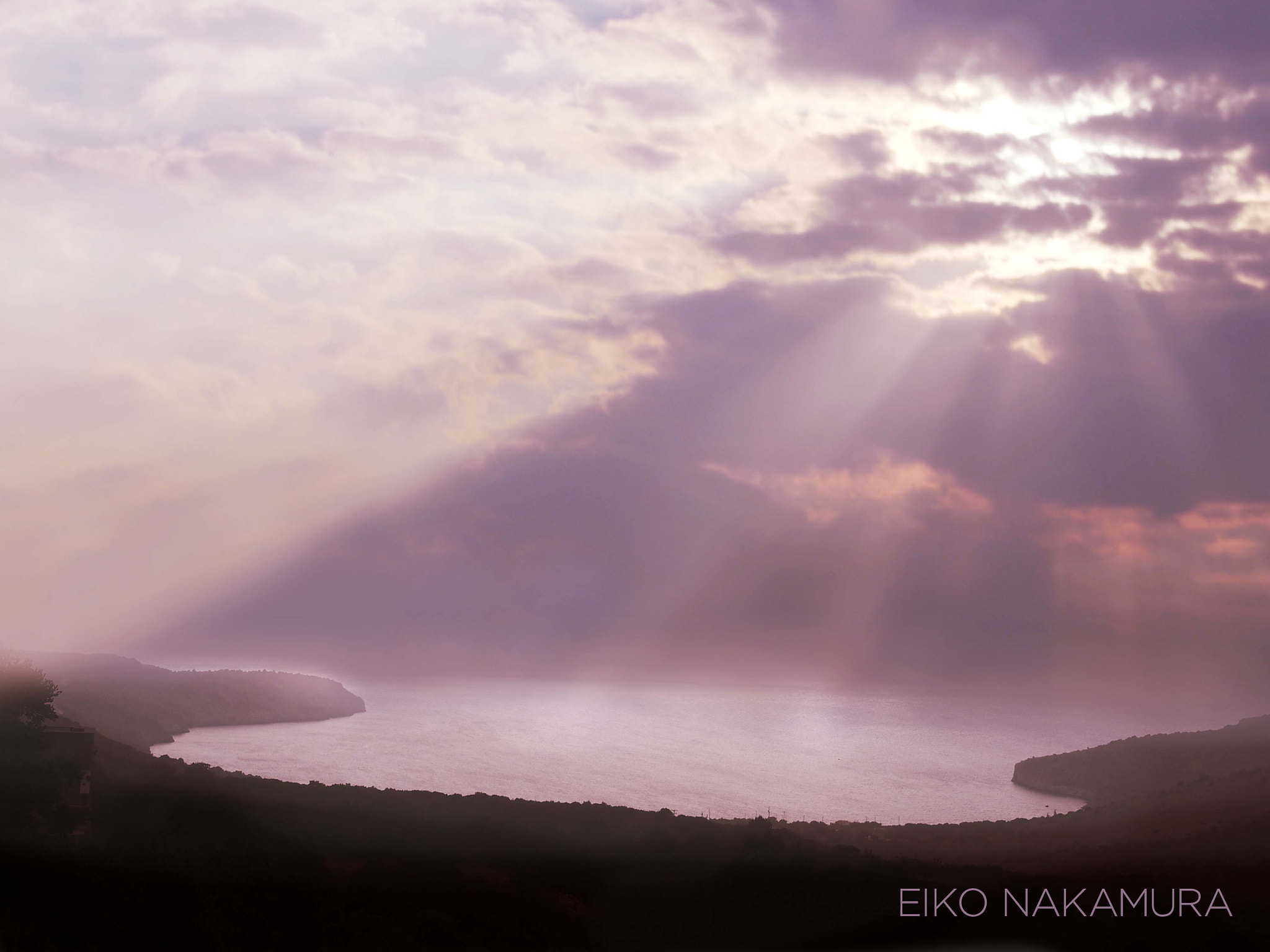 Olympus PEN E-P5 sample photo. The moment of purple photography