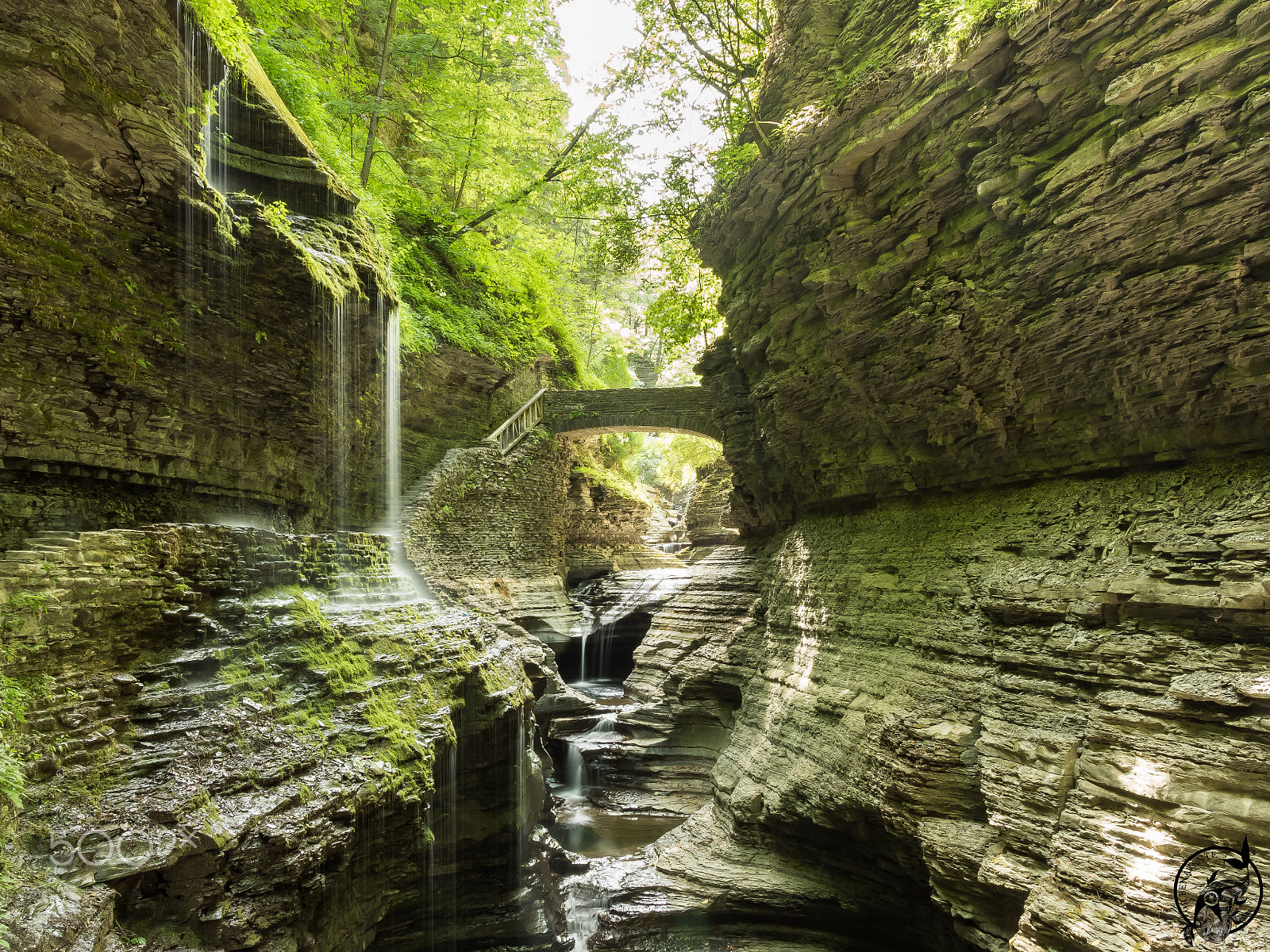 Panasonic Lumix G X Vario 12-35mm F2.8 ASPH Power OIS sample photo. Watkins glen state park photography