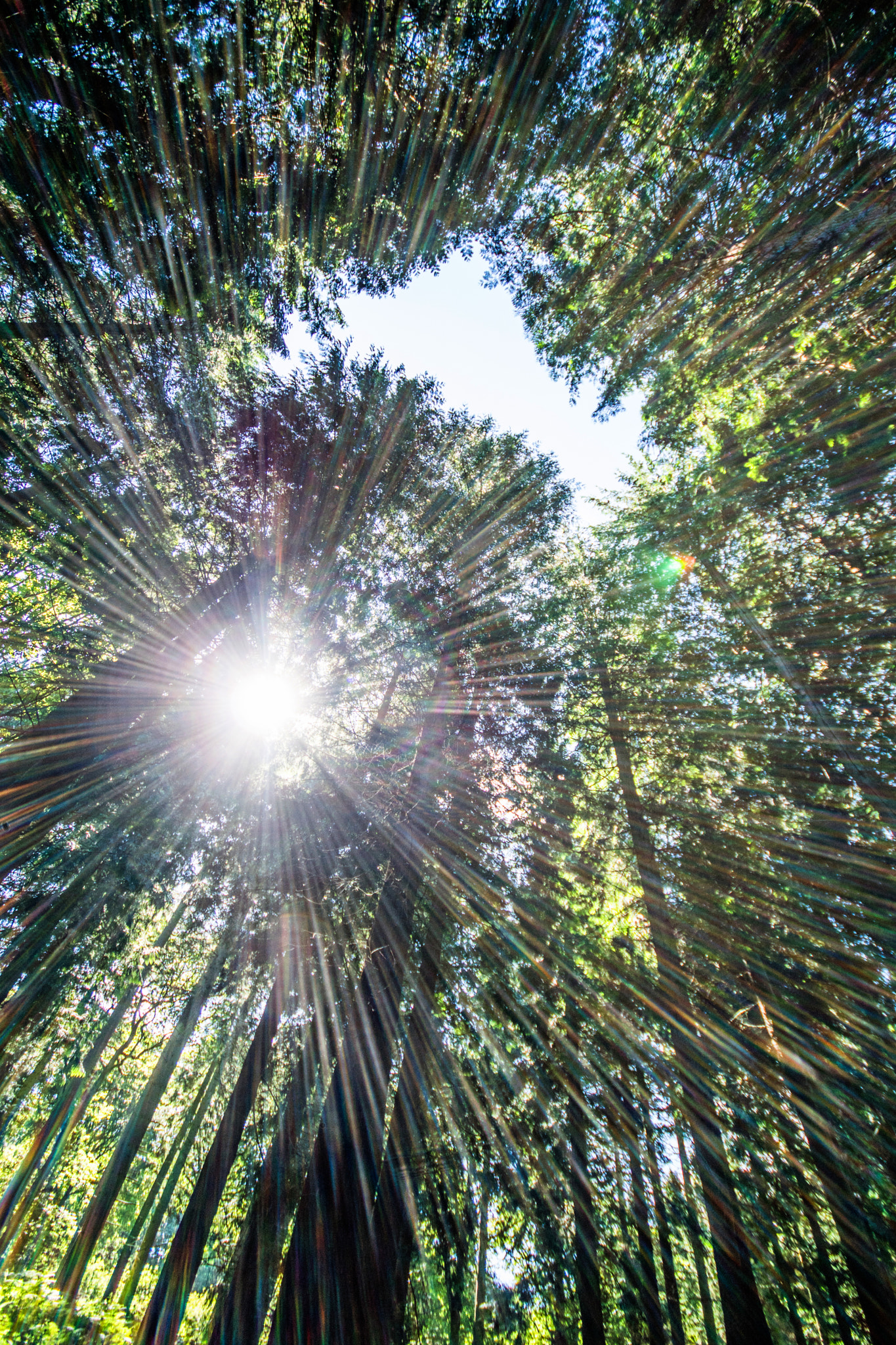 Sigma AF 10-20mm F4-5.6 EX DC sample photo. Starlight photography