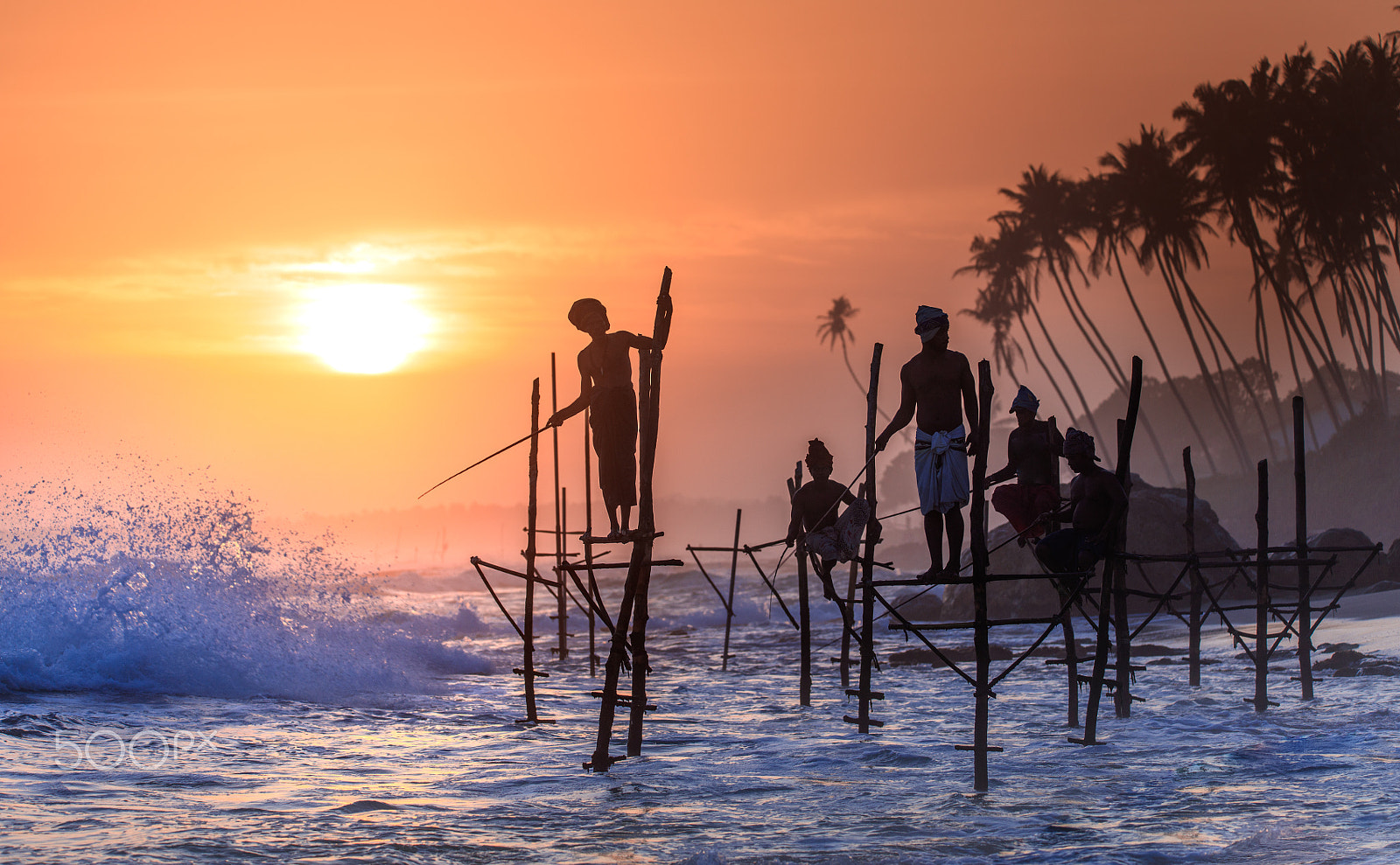 Canon EOS 5DS R + 150-600mm F5-6.3 DG OS HSM | Contemporary 015 sample photo. Stilt fishermen at koggala photography