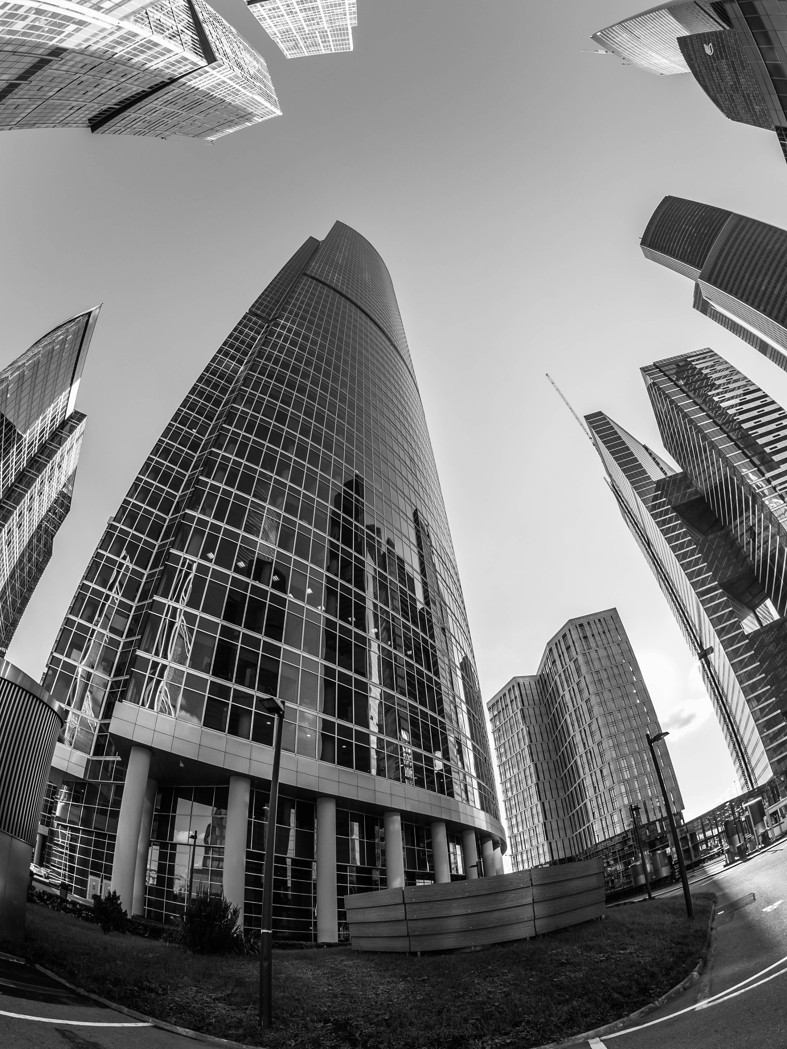 Panasonic Lumix DMC-GH4 + OLYMPUS M.8mm F1.8 sample photo. Surrounded by giants photography