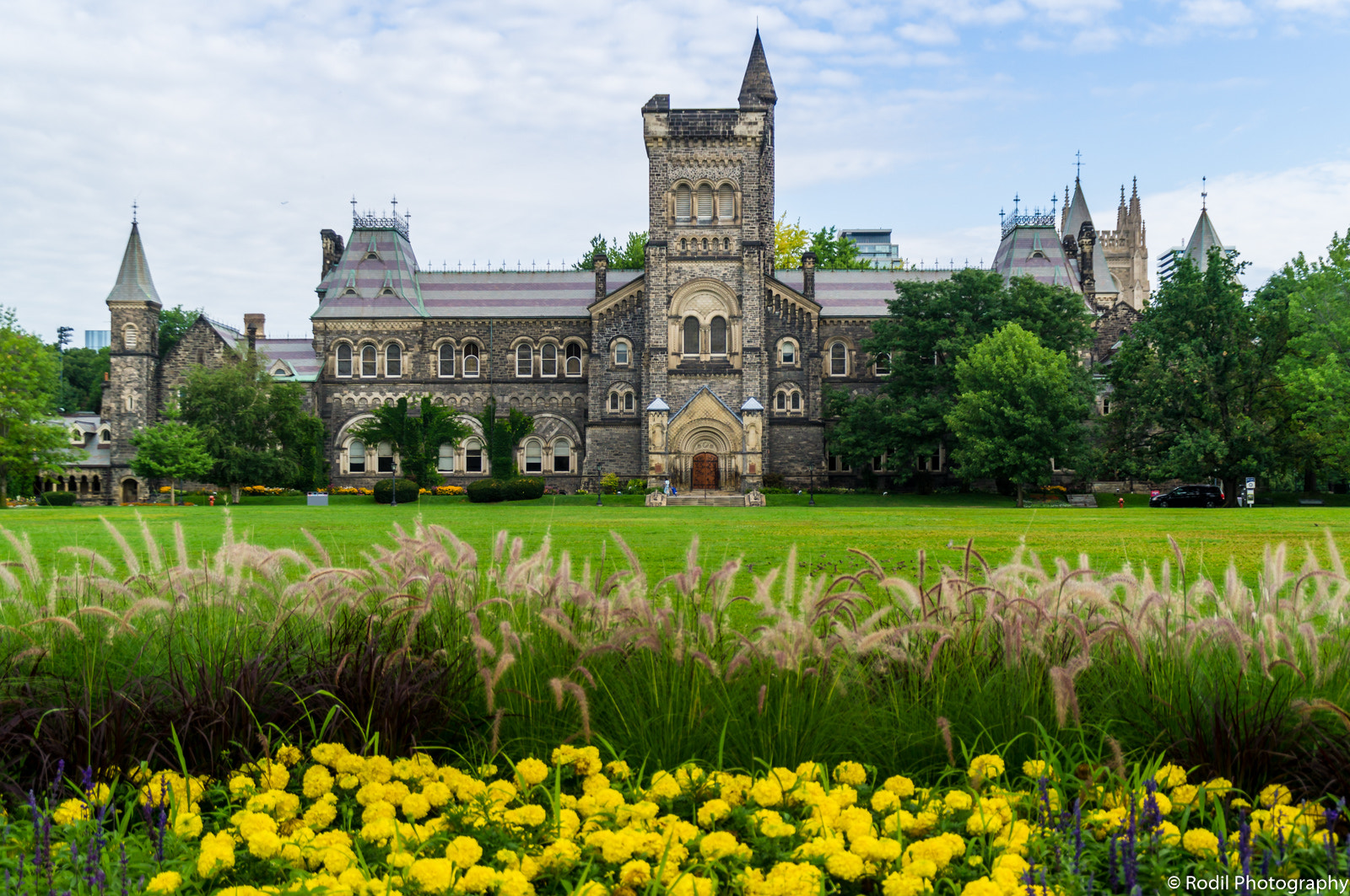 Sony SLT-A37 sample photo. University of toronto campus photography
