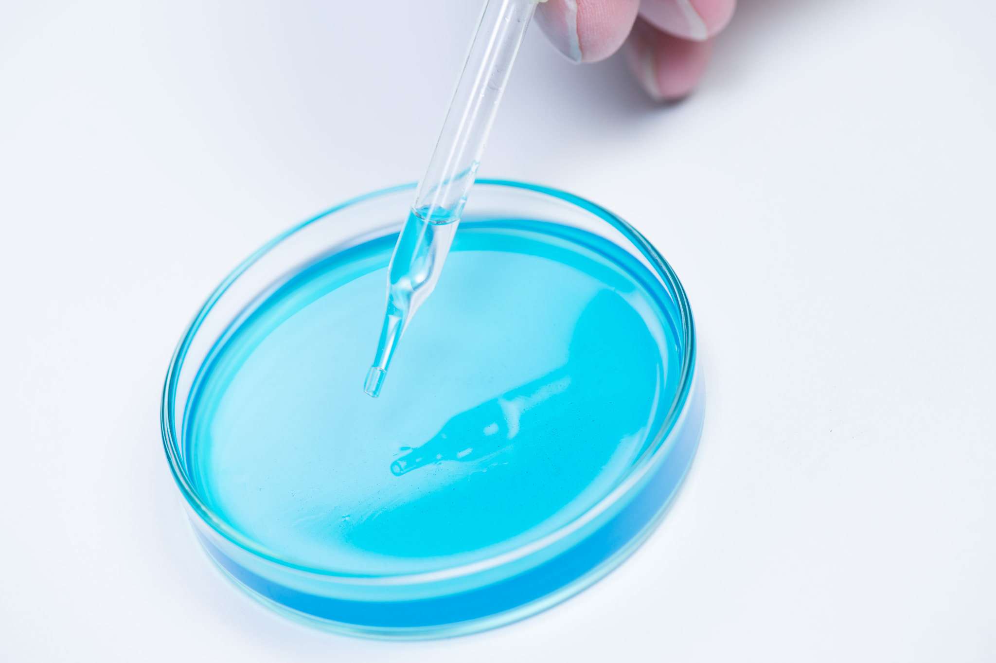 Nikon D4S sample photo. Pipetting coloured liquid into petri dishes photography
