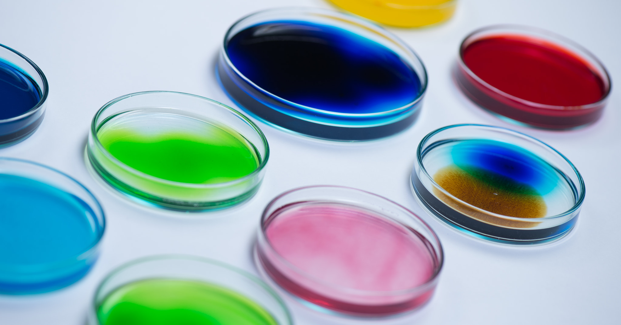 Nikon D4S sample photo. Research laboratory, petry disches photography