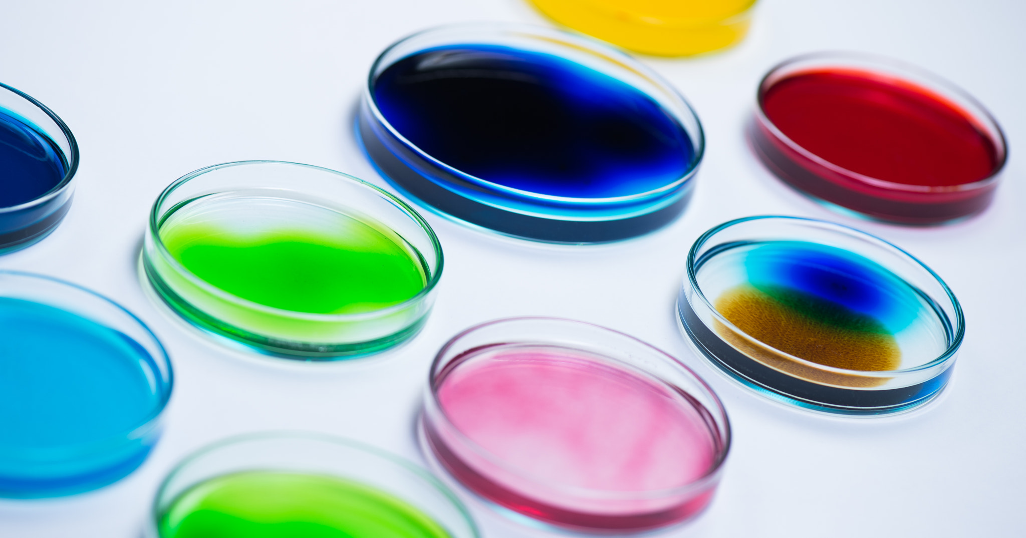 Nikon D4S sample photo. Research laboratory, petry disches photography