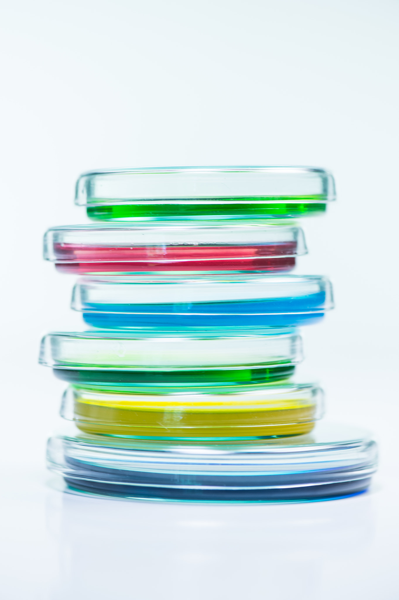 Nikon D4S sample photo. Research laboratory, petry disches photography