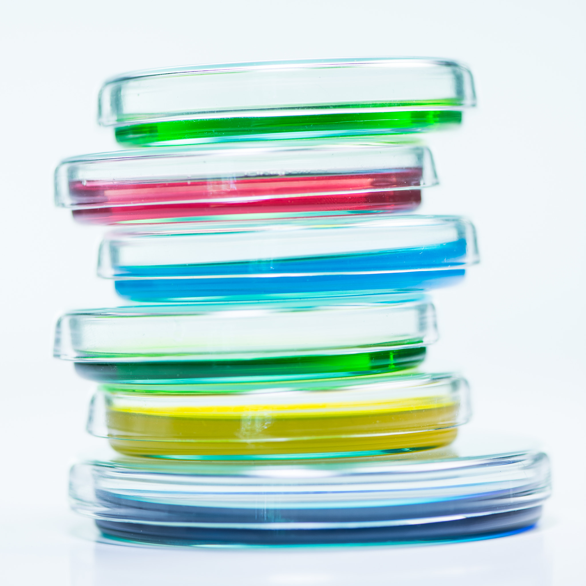 Nikon D4S sample photo. Research laboratory, petry disches photography