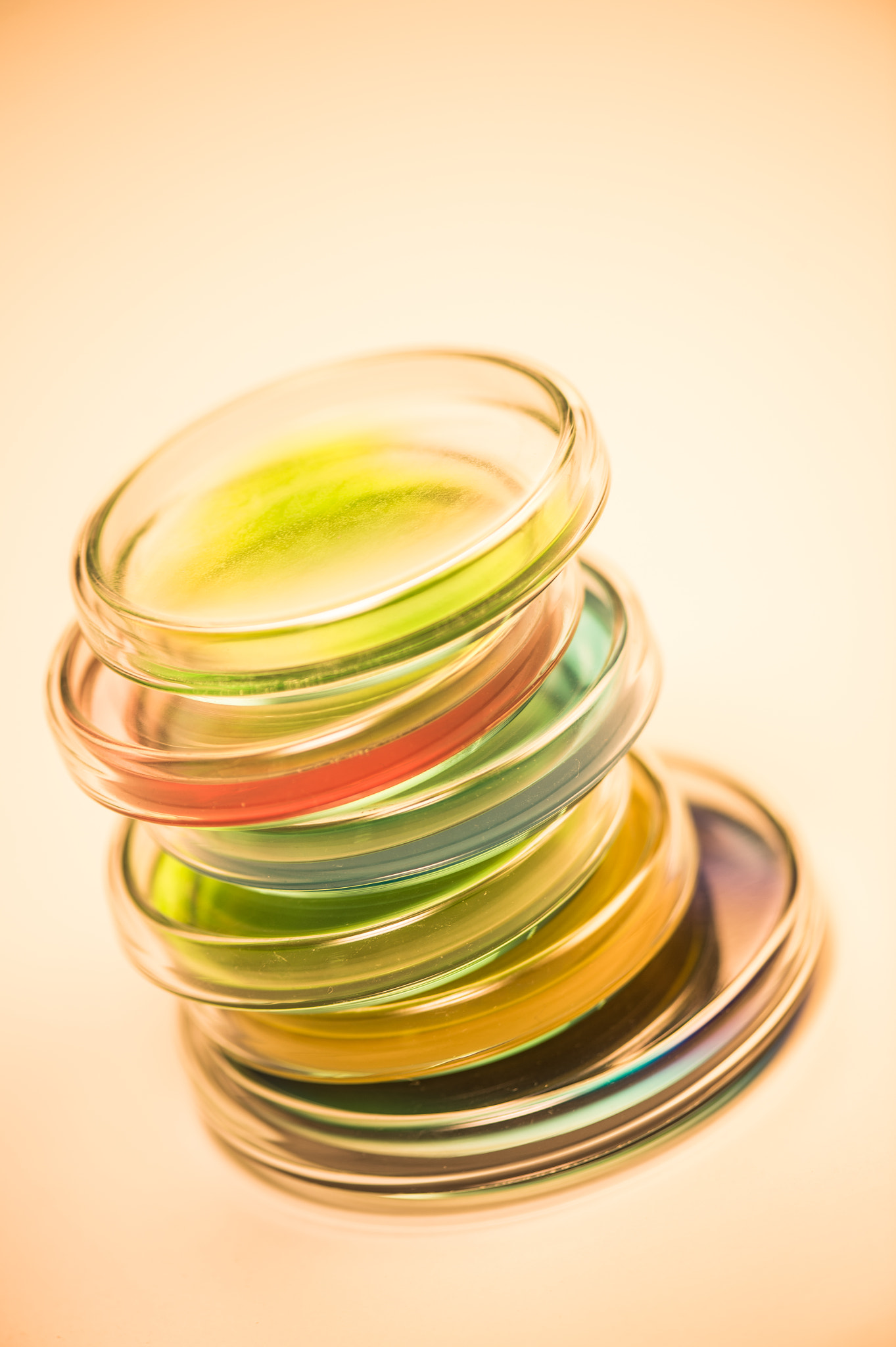 Nikon D4S sample photo. Research laboratory, petry disches photography