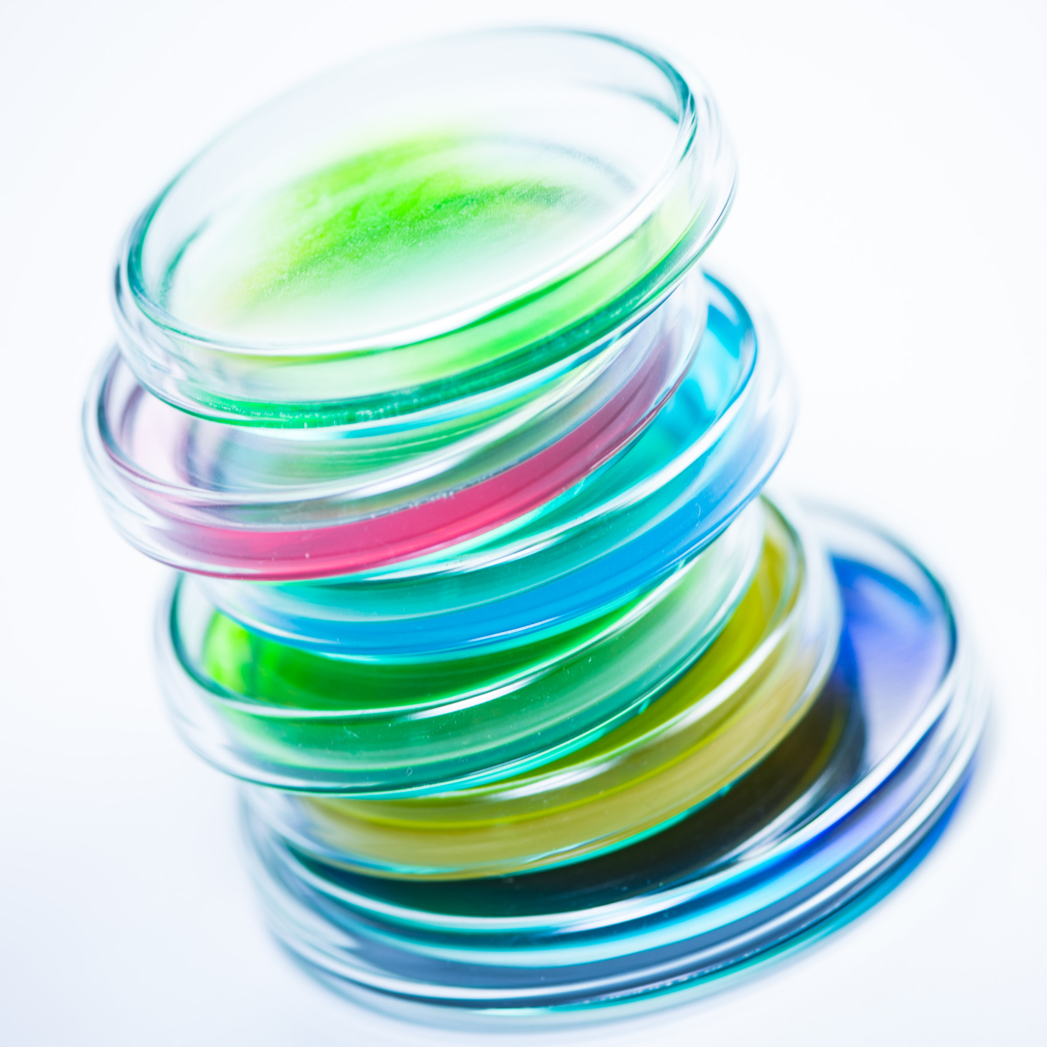 Nikon D4S sample photo. Research laboratory, petry disches photography