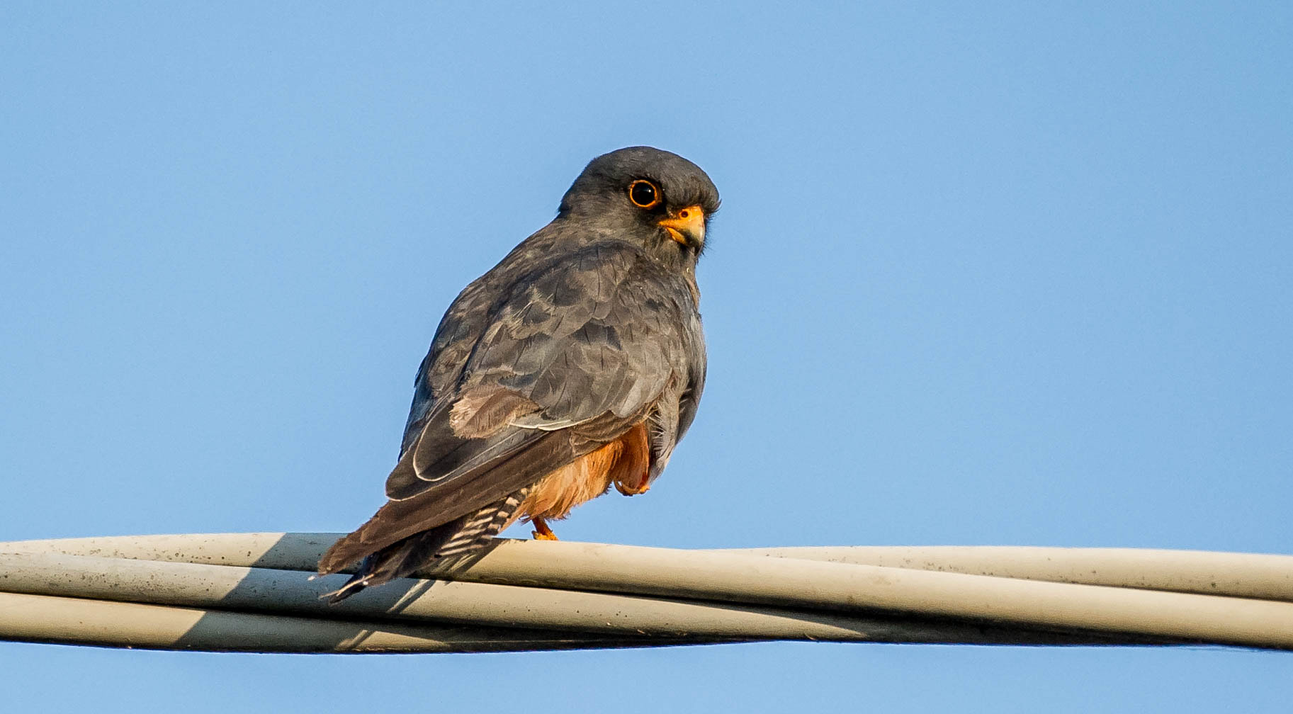 Nikon D3S sample photo. 28562431712.jpg photography