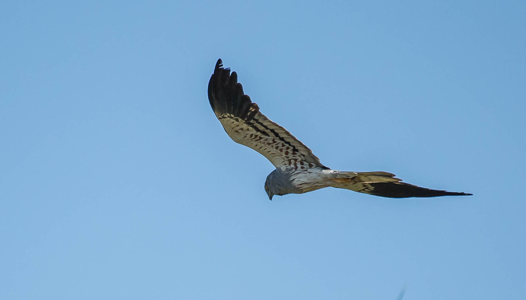 Nikon D3S sample photo. 28590588251.jpg photography