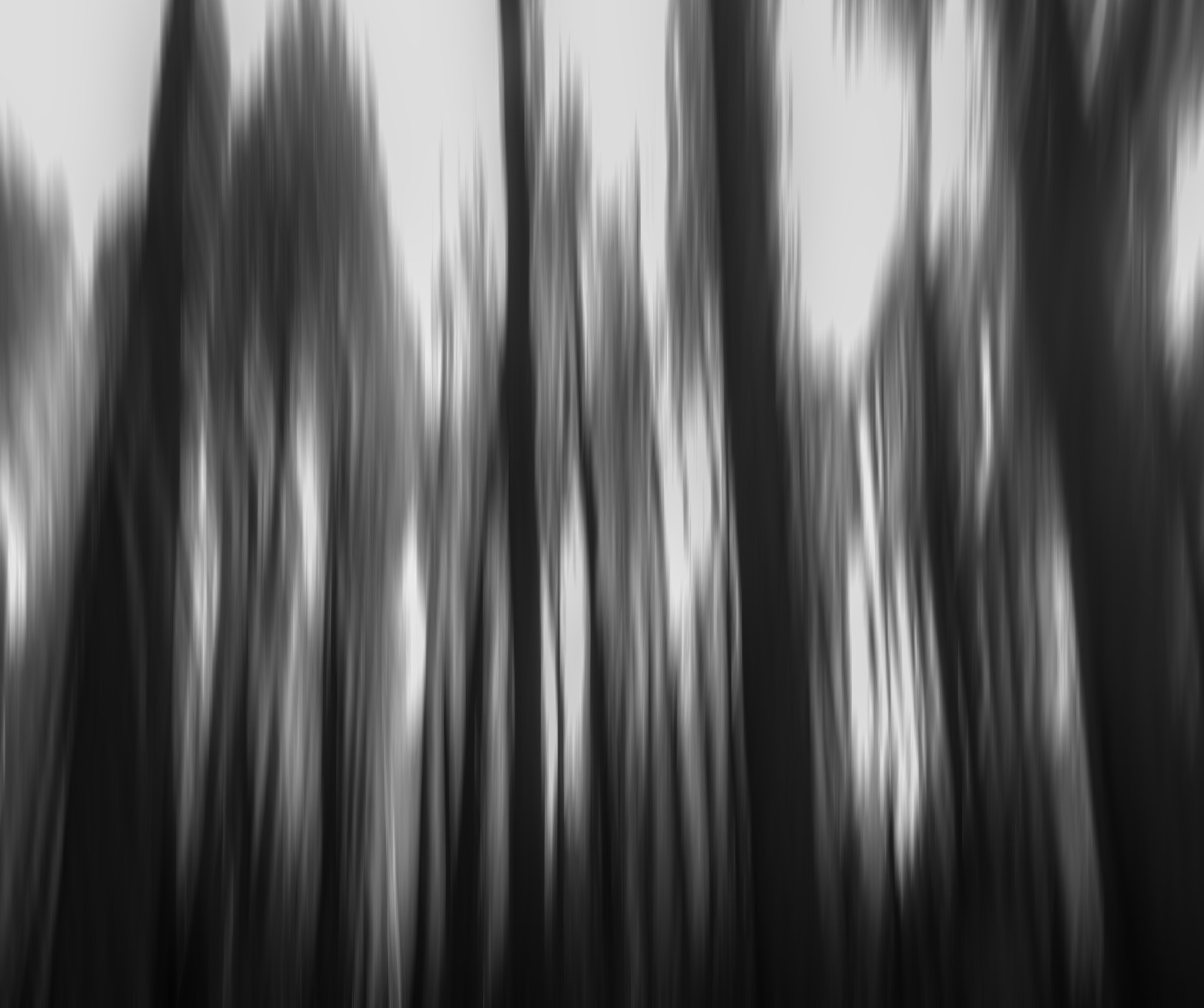 Leica Summilux-M 21mm F1.4 Asph sample photo. Forest in a dream photography