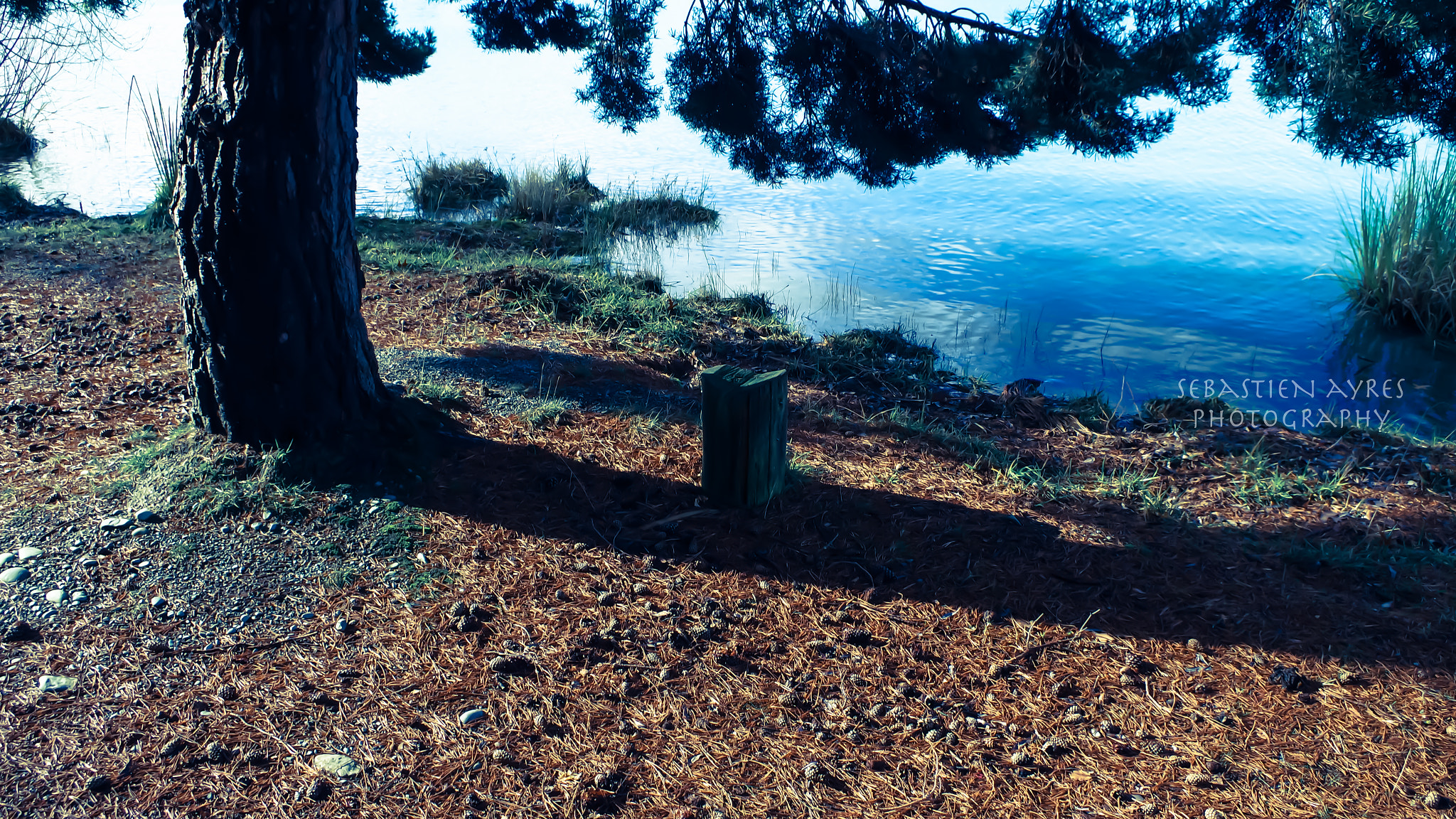 Pentax K-S2 sample photo. In shadow photography