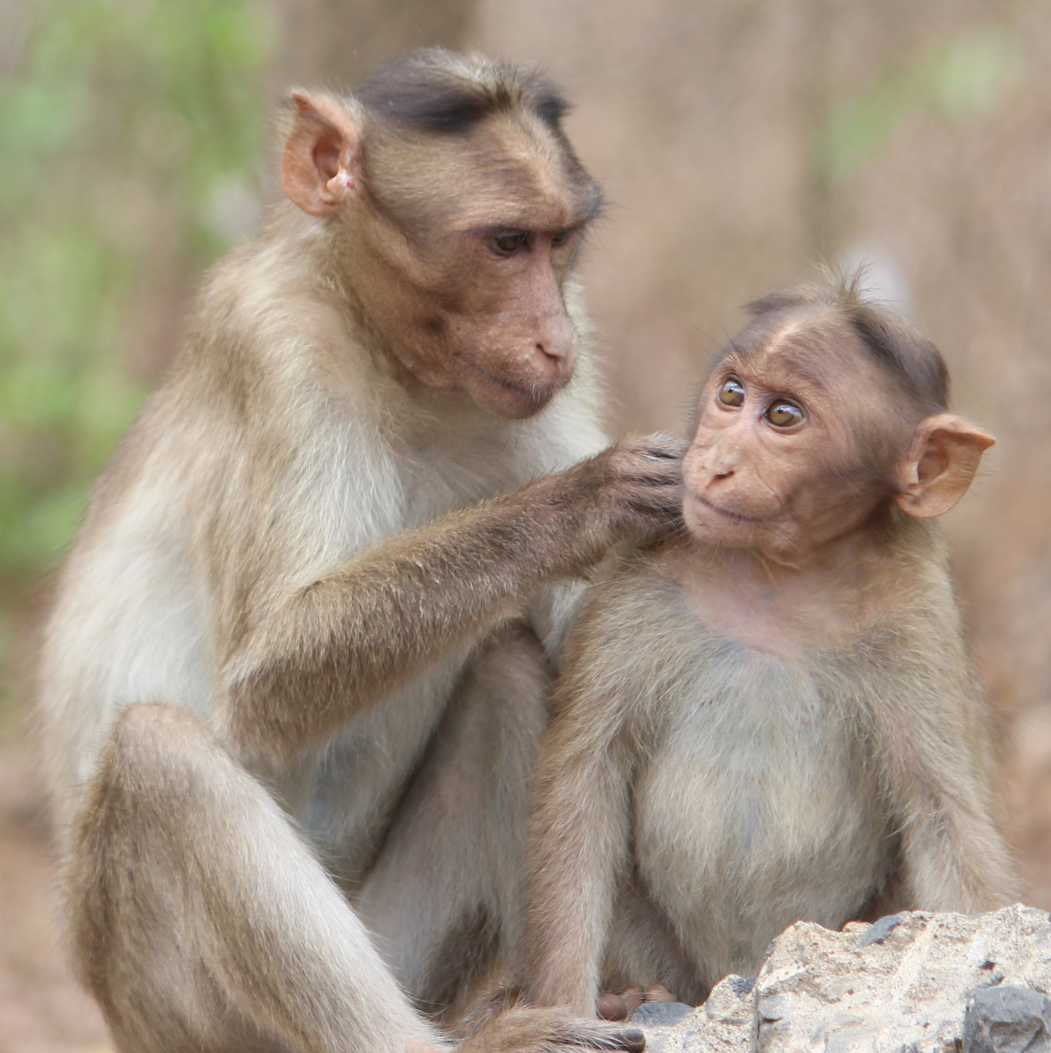 Canon EF-S 55-250mm F4-5.6 IS II sample photo. Mother child love photography