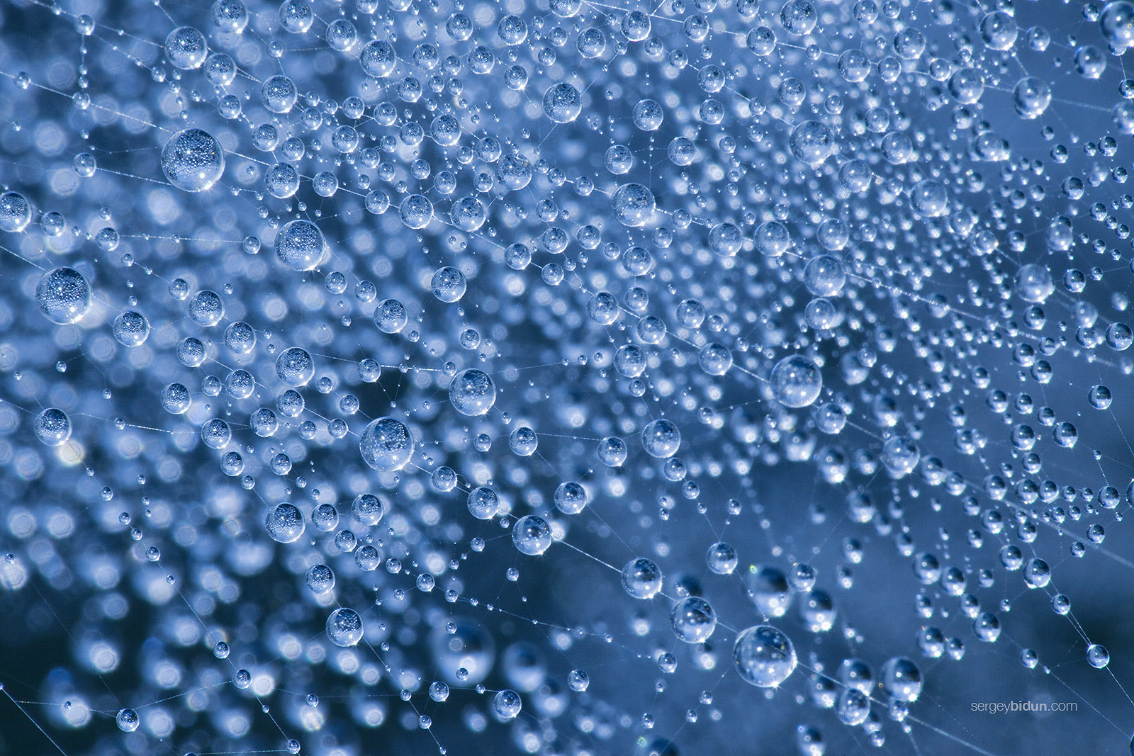 Canon EF 180mm F3.5L Macro USM sample photo. Crystal world. photography