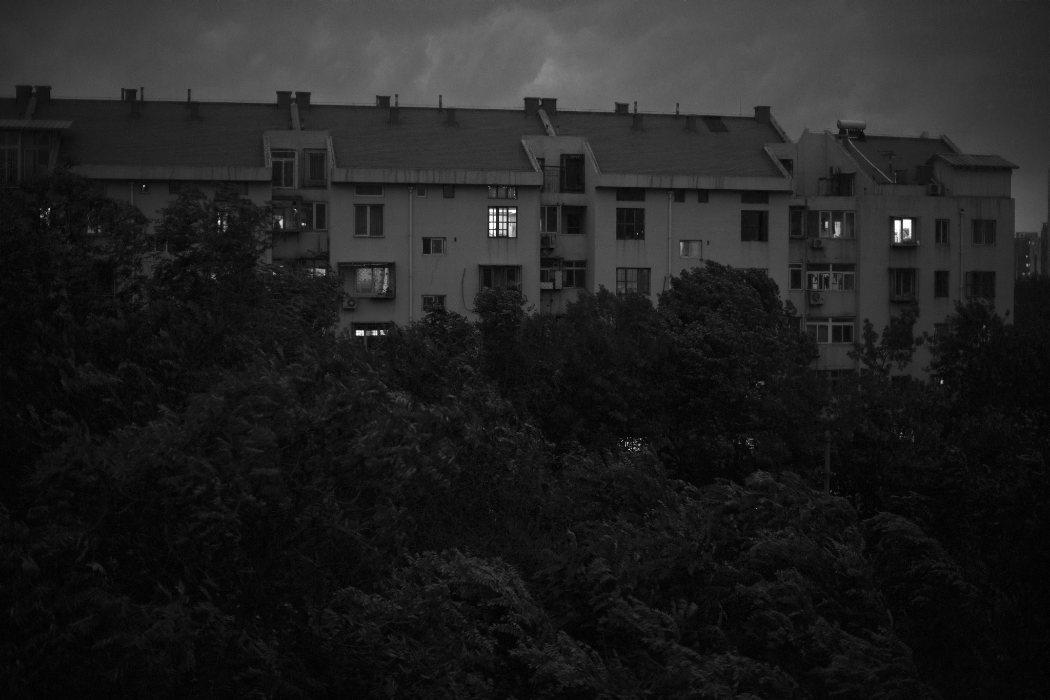 Canon EOS 5DS + Canon EF 50mm F1.4 USM sample photo. The coming rain photography