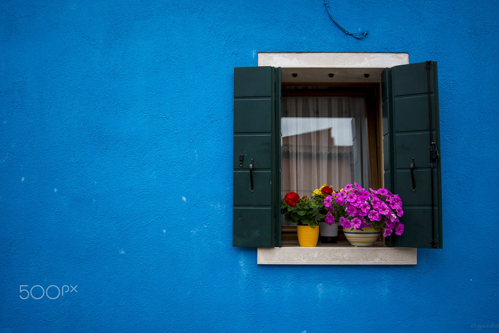 AF Zoom-Nikkor 28-80mm f/3.3-5.6G sample photo. Venetian window #1 photography