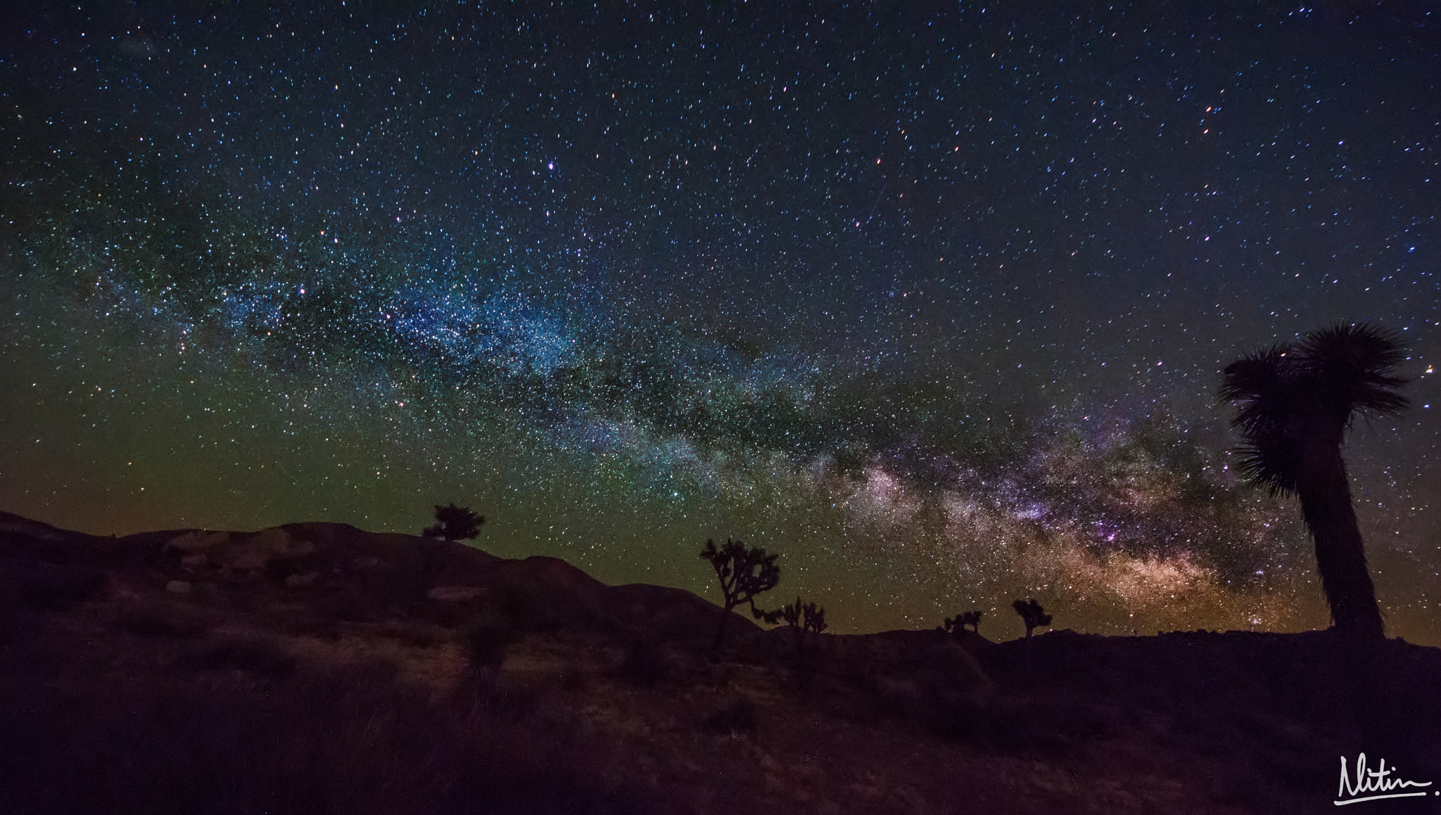 Sigma 8-16mm F4.5-5.6 DC HSM sample photo. Joshua tree milky way photography