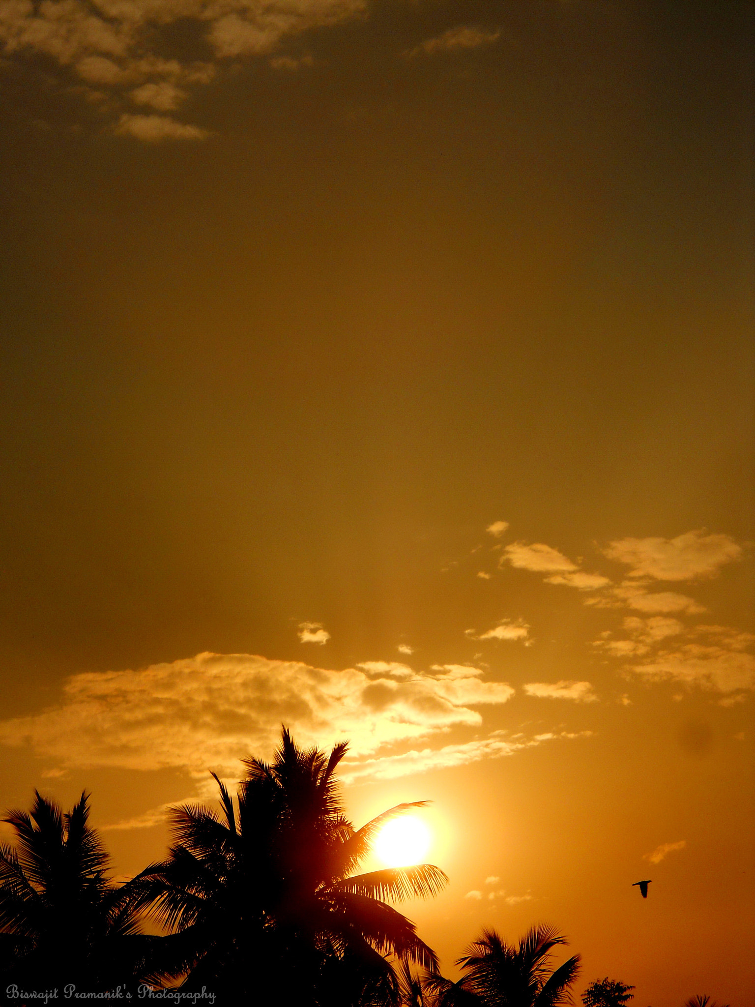 Nikon Coolpix L22 sample photo. Beautiful sunset photography