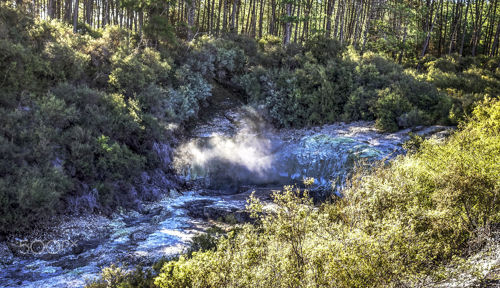 Sony a7R + Sony Sonnar T* E 24mm F1.8 ZA sample photo. Rotorua, new zealand photography