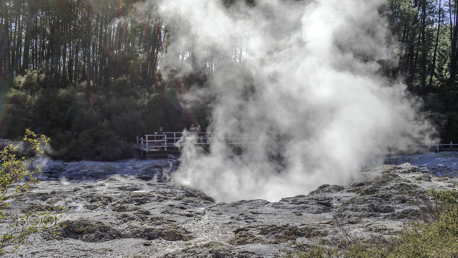 Sony a7R + Sony Sonnar T* E 24mm F1.8 ZA sample photo. Wai-o-tapu, rotorua, new zealand photography