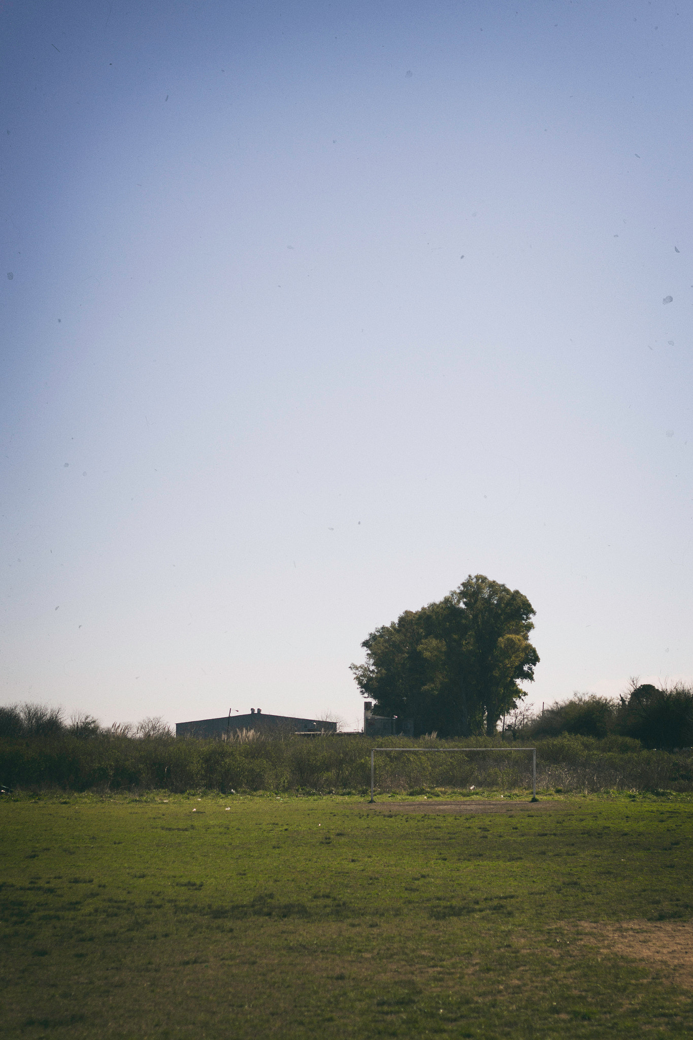 Canon EF 50mm F1.8 II sample photo. Corriendo al sol photography
