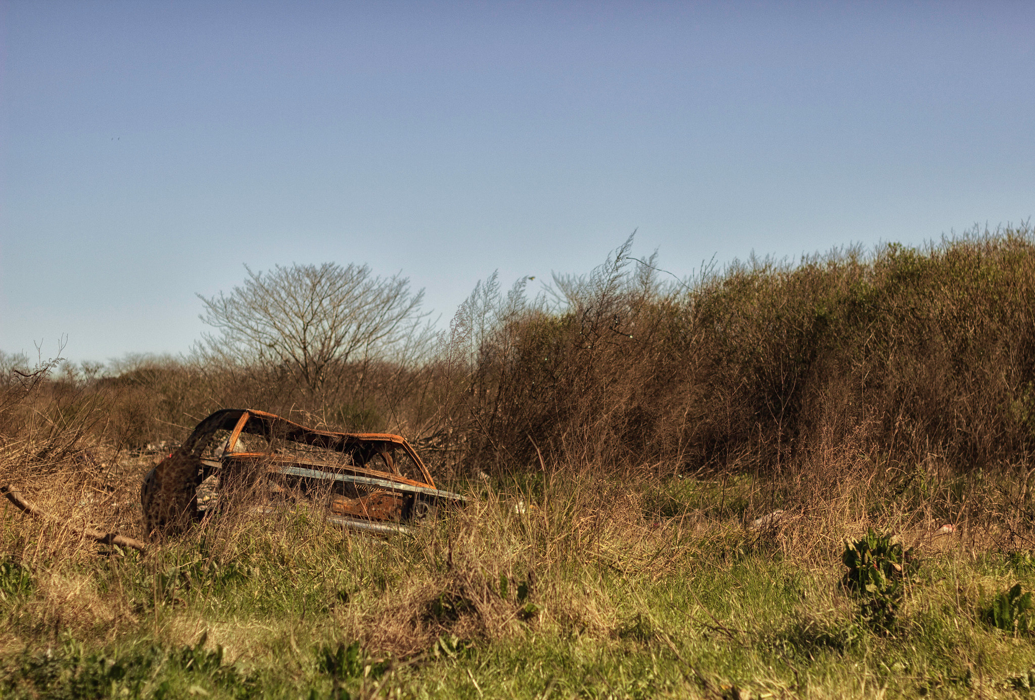 Canon EOS 600D (Rebel EOS T3i / EOS Kiss X5) + Canon EF 50mm F1.8 II sample photo. Corriendo al sol photography