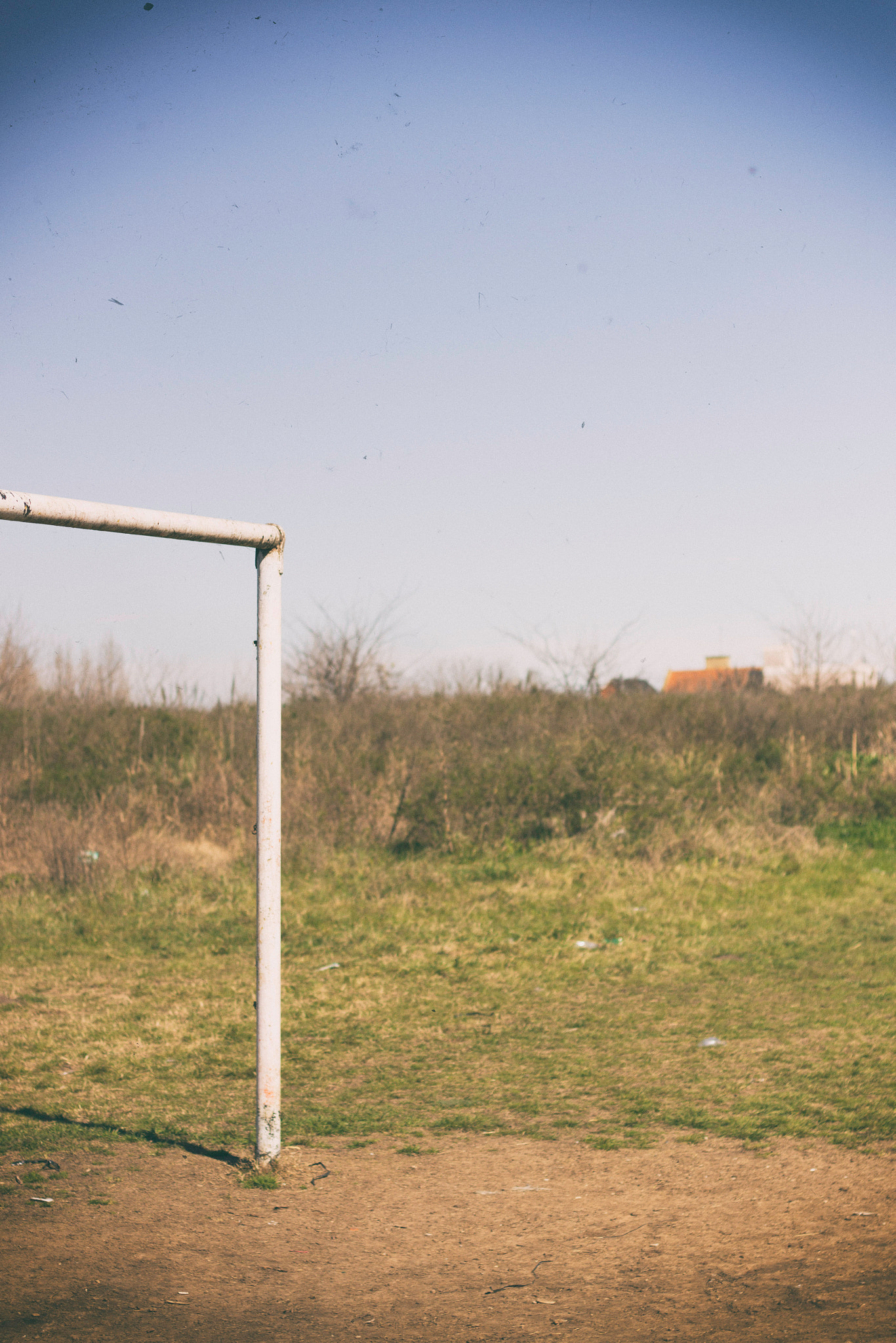 Canon EF 50mm F1.8 II sample photo. Corriendo al sol photography