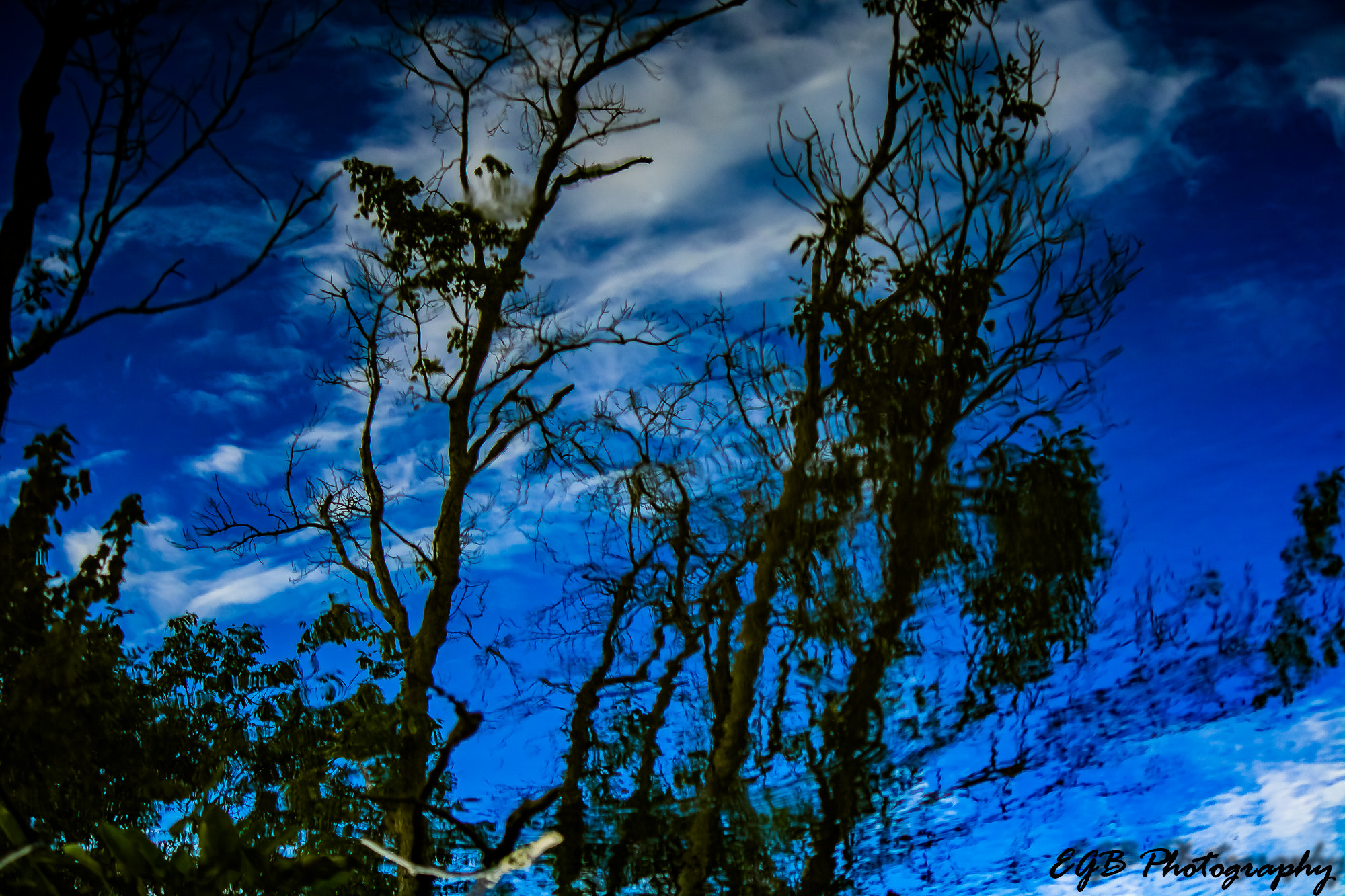 Canon EF-S 55-250mm F4-5.6 IS sample photo. Water reflection of sky couds trees photography
