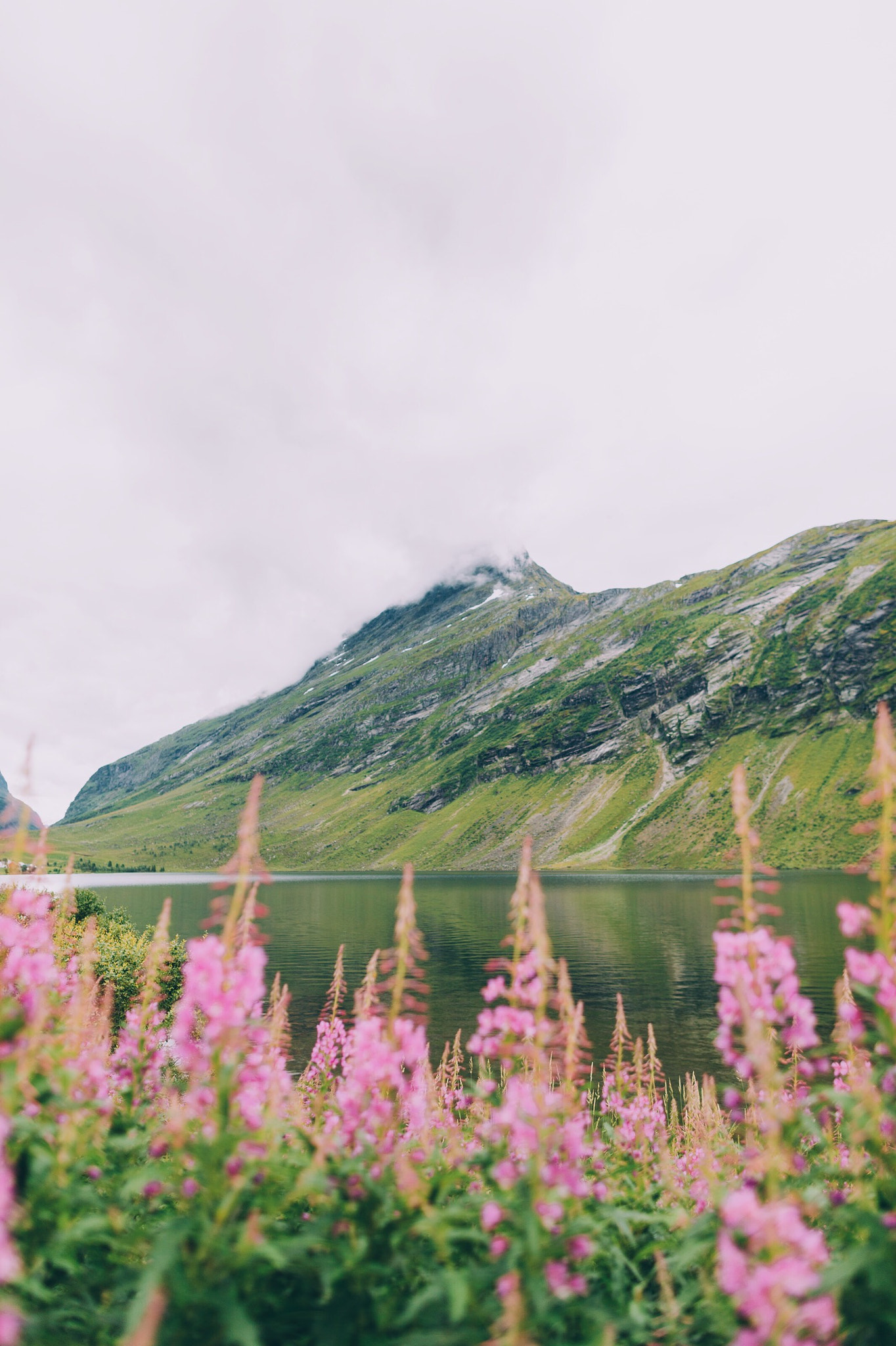 Canon EOS 5DS + Canon EF 24mm F1.4L II USM sample photo. Summer time on the west coast of norway photography