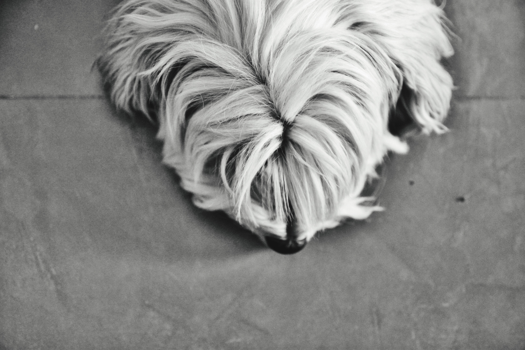 Canon 17-50mm sample photo
