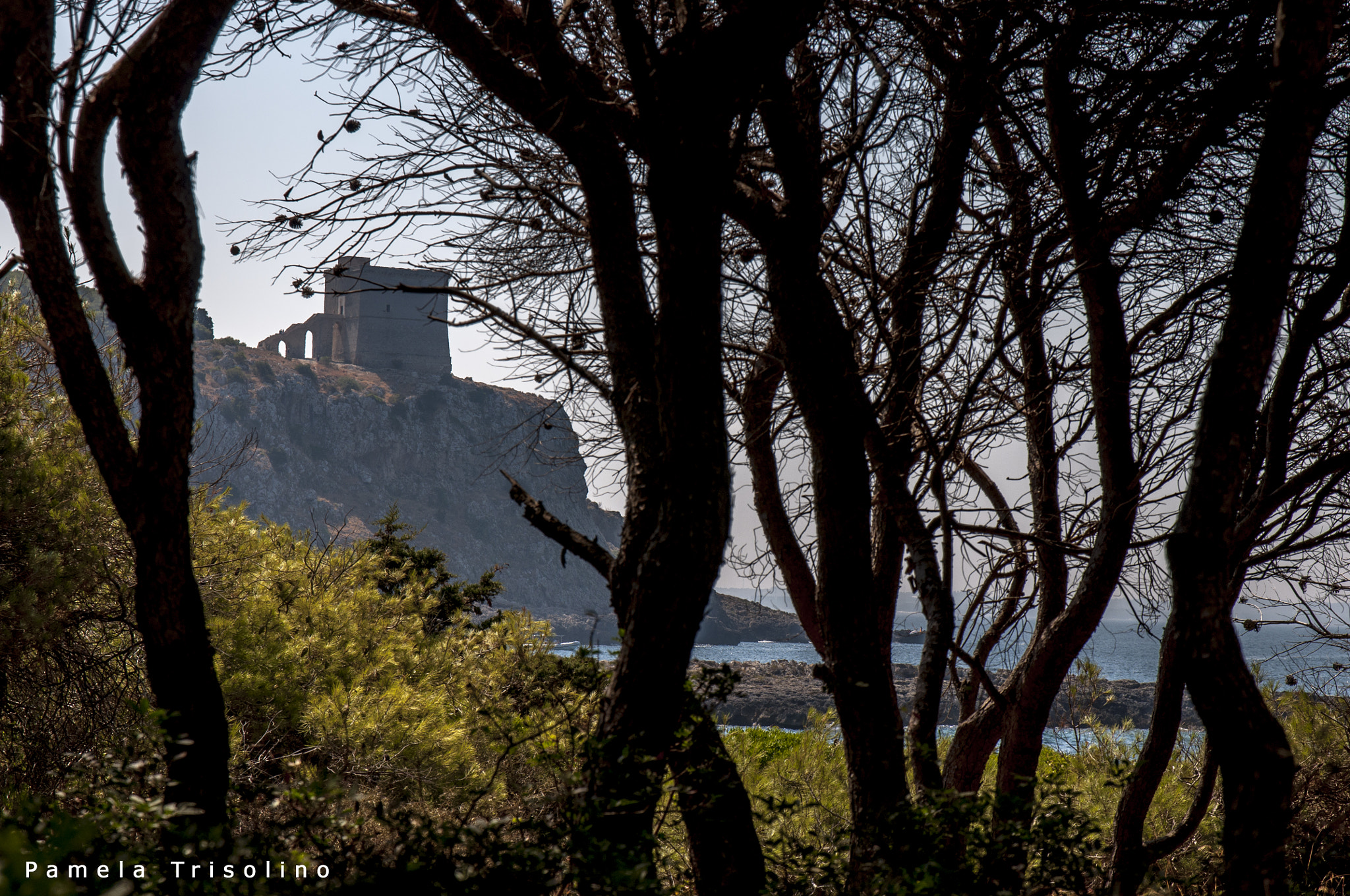 Sigma 17-70mm F2.8-4 DC Macro OS HSM | C sample photo. Torre dell'alto photography