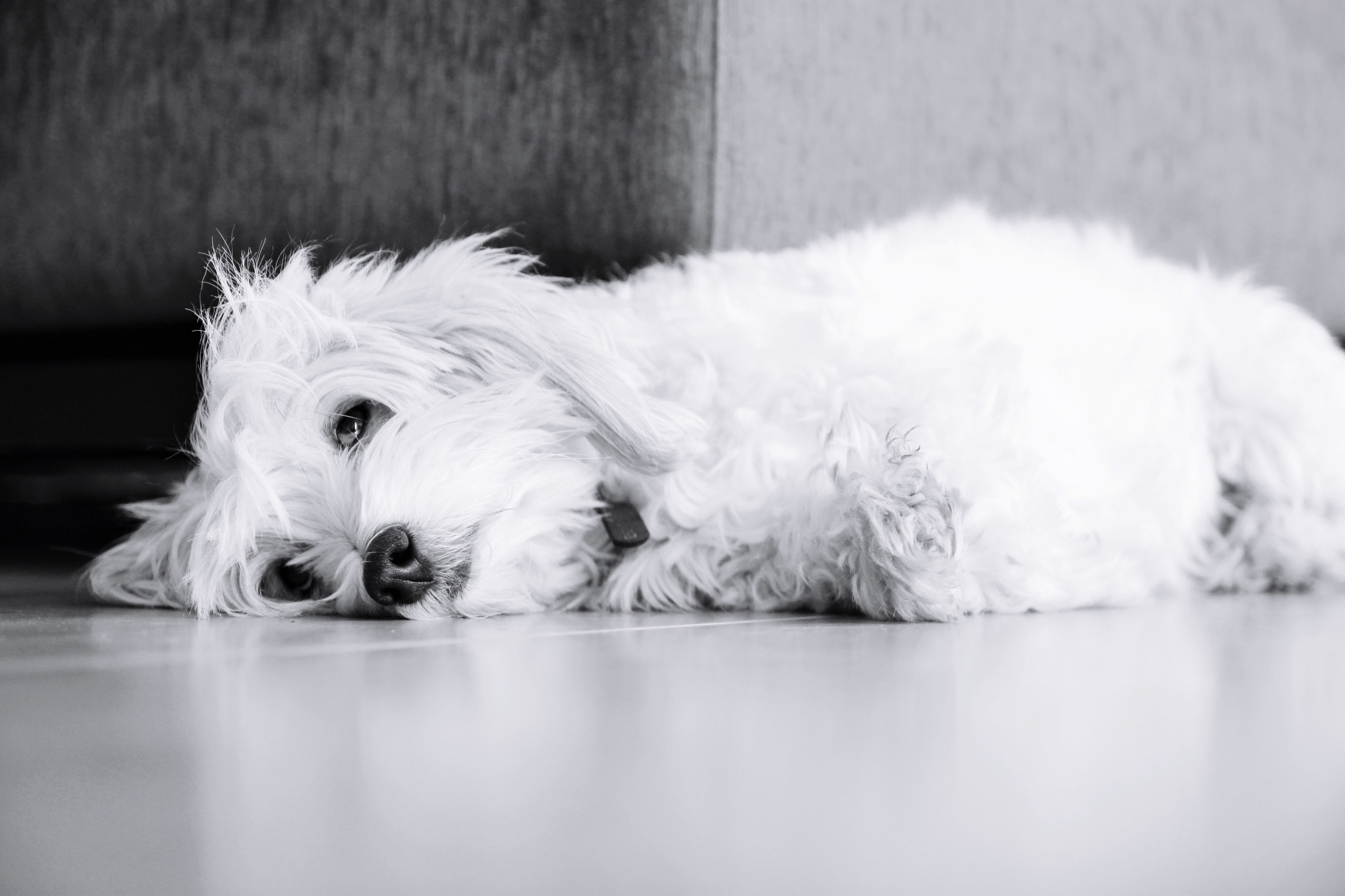 Canon 17-50mm sample photo