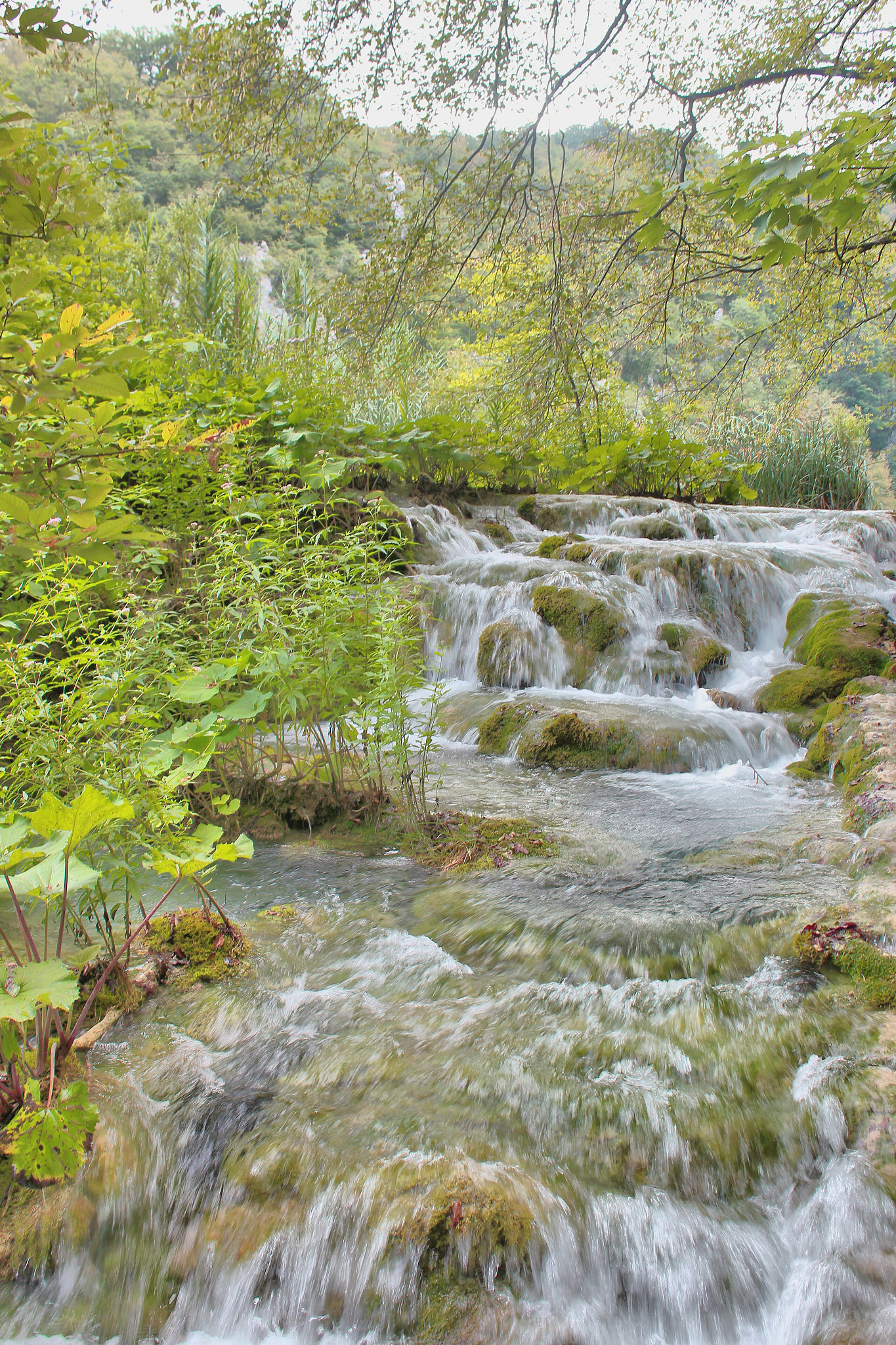 Canon EF-S 18-55mm F3.5-5.6 IS II sample photo. Plitvice lakes photography