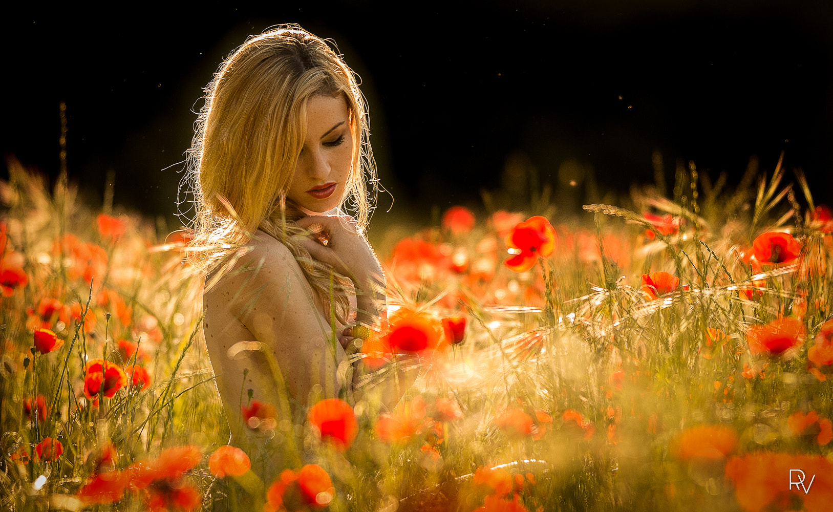 Canon EF 70-200mm F2.8L IS II USM sample photo. Miiska mva coquelicots photography