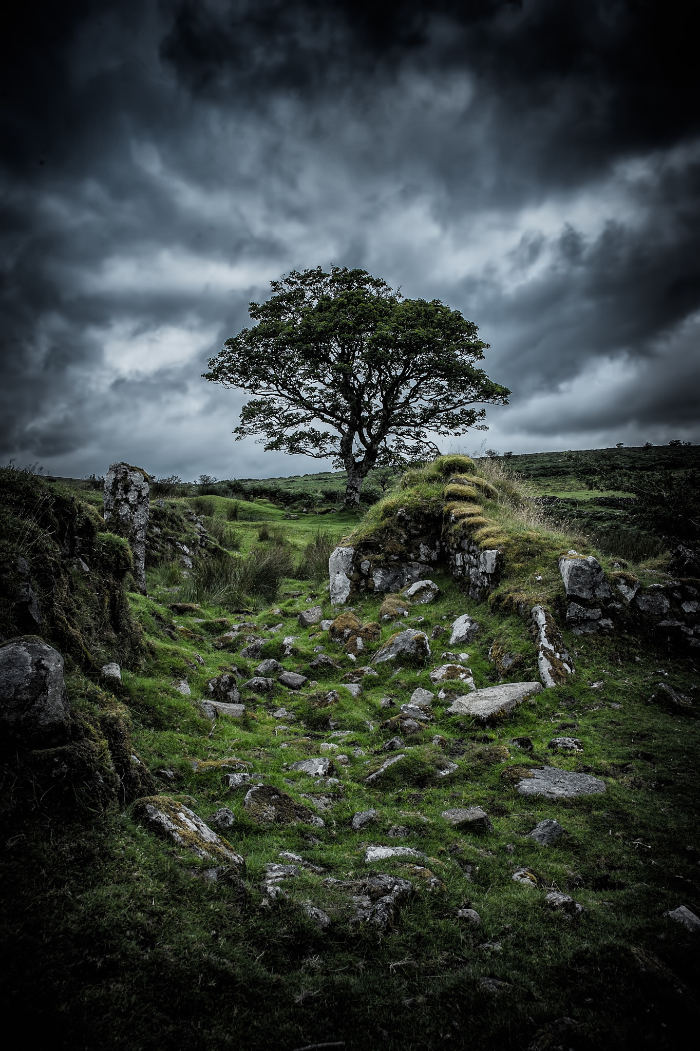 AF Zoom-Nikkor 28-105mm f/3.5-4.5D IF sample photo. Darkening skies photography