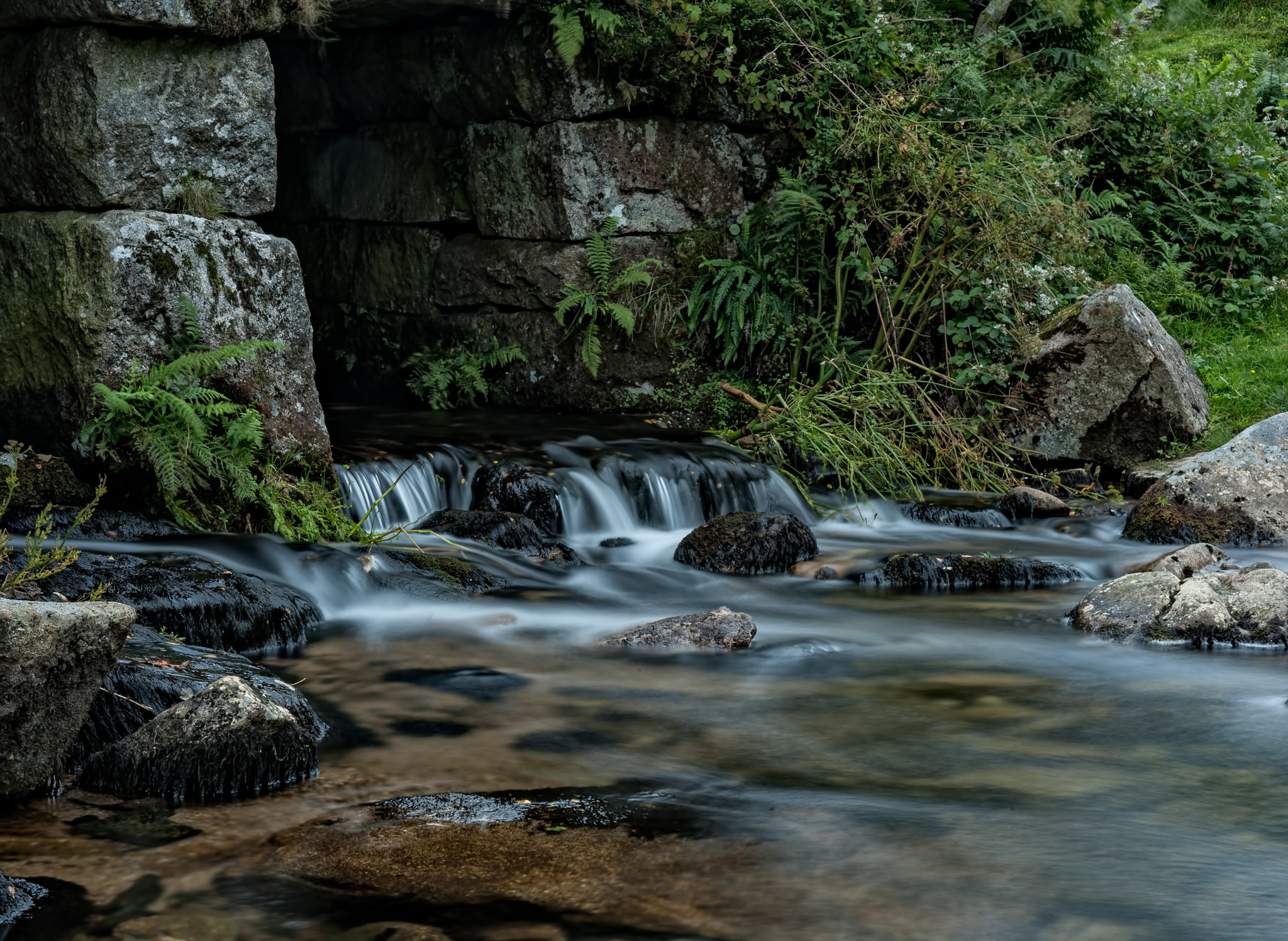 AF Zoom-Nikkor 28-105mm f/3.5-4.5D IF sample photo. Meavy photography