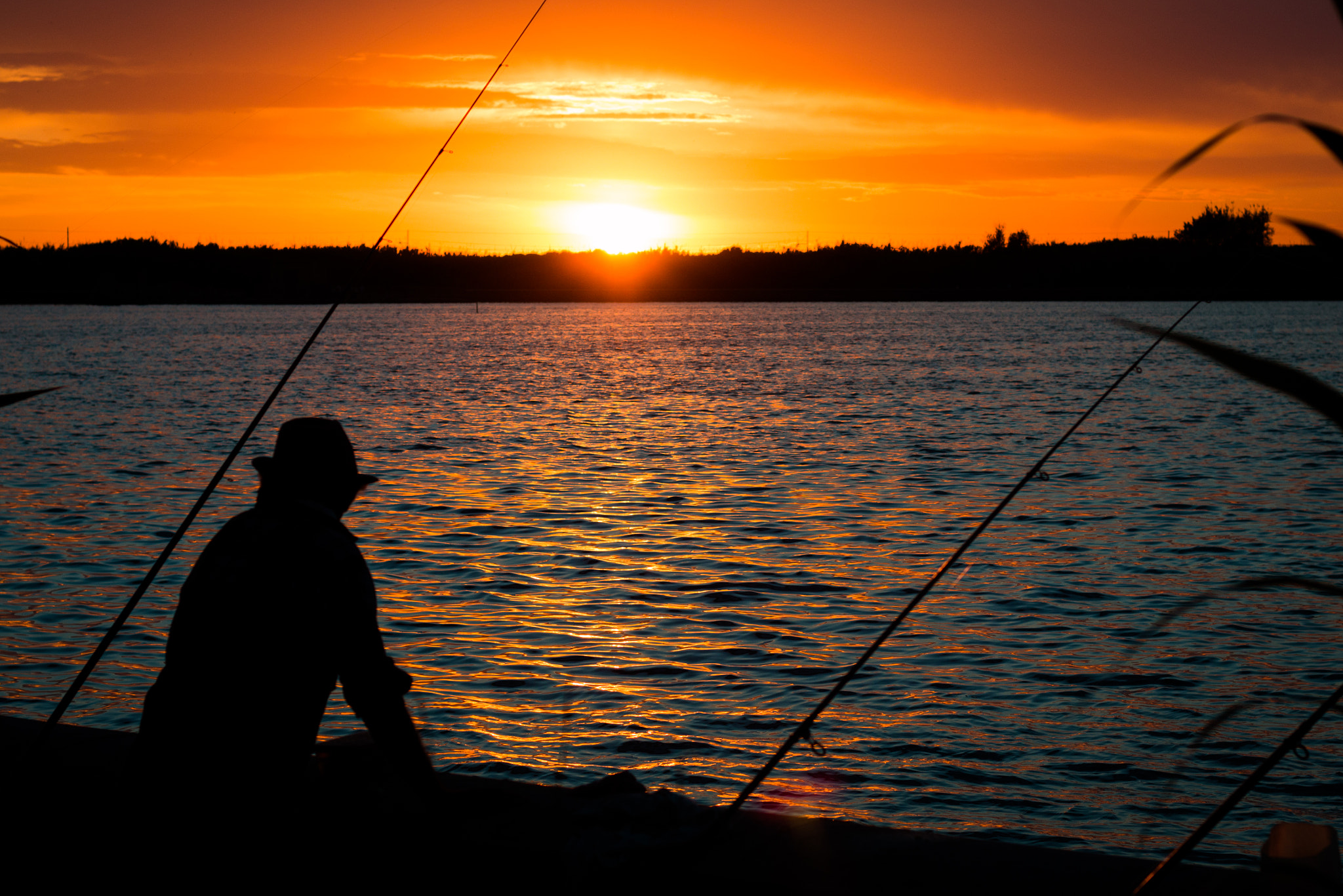 Canon EOS 70D + Canon EF 50mm F1.8 II sample photo. Fusaro lake photography