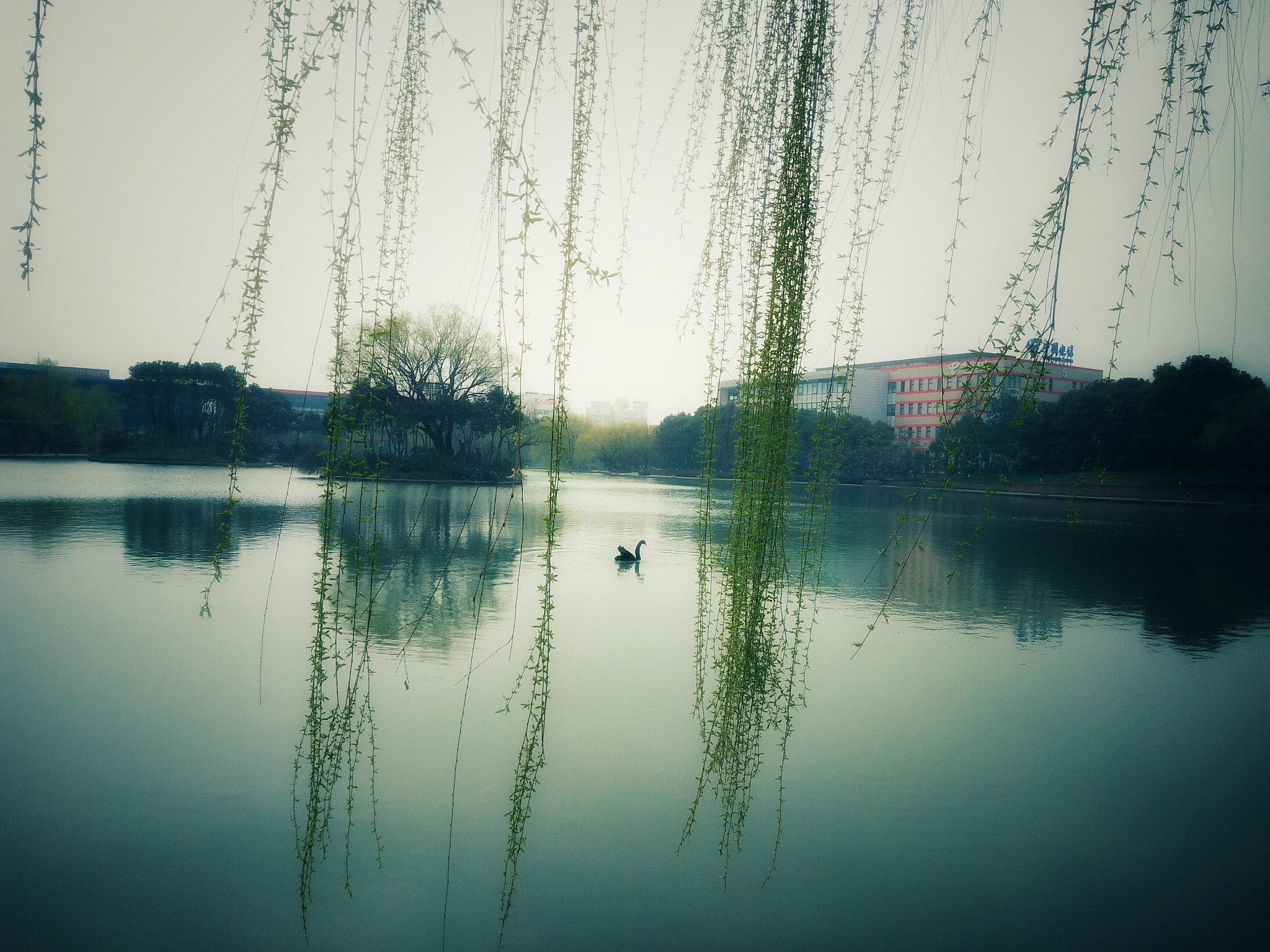 OnePlus ONE E1001 sample photo