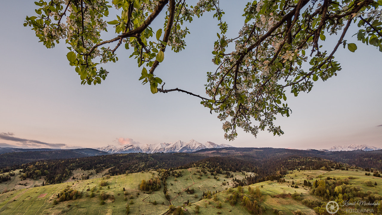 Samyang 14mm F2.8 ED AS IF UMC sample photo. Magic of spring under the tatra mountains. photography