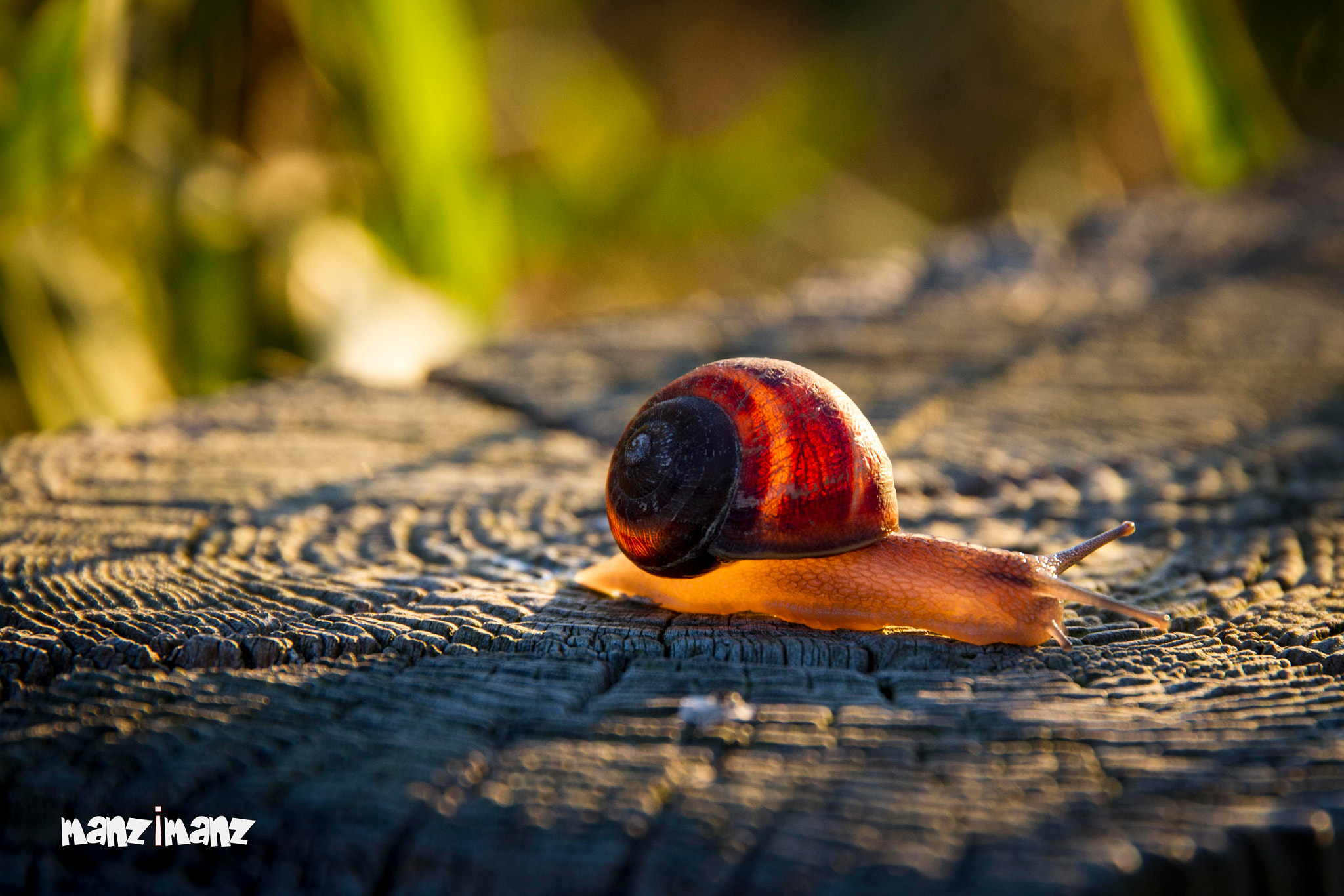 Sigma 24-105mm f/4 DG OS HSM | A sample photo. Mobile home photography