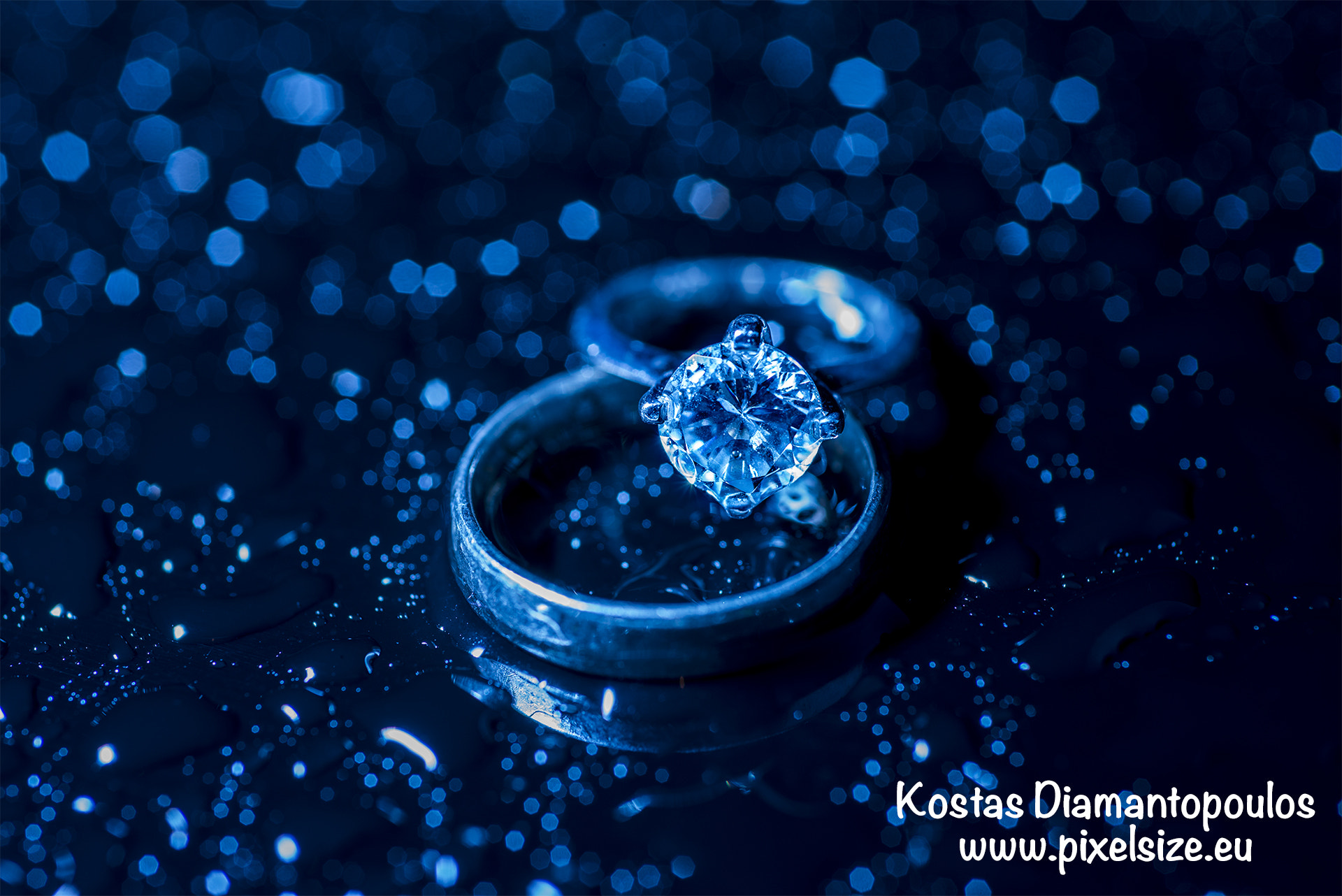 Nikon D610 + Nikon AF Micro-Nikkor 60mm F2.8D sample photo. Ring photography