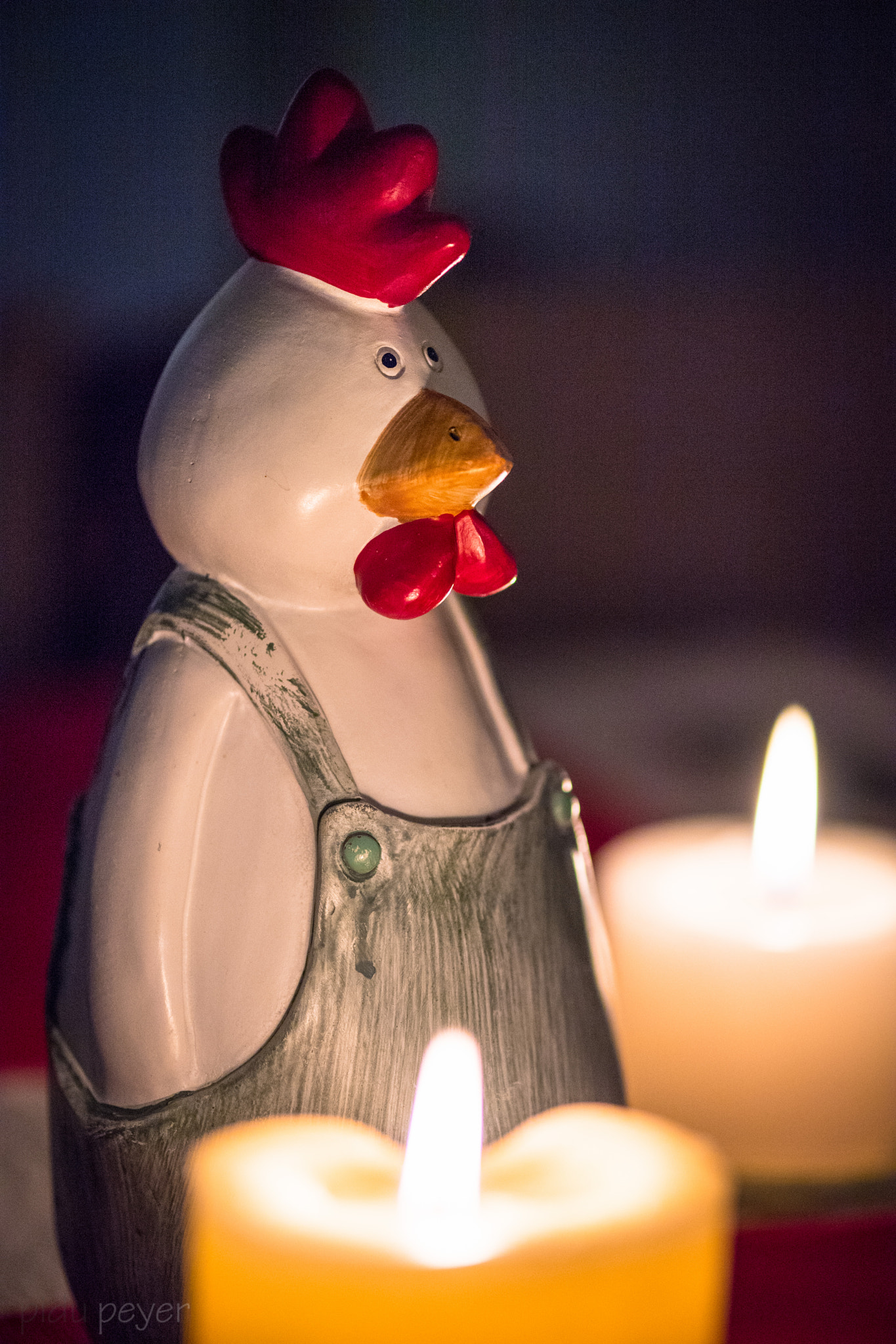 Nikon D5 sample photo. Relaxed rooster photography