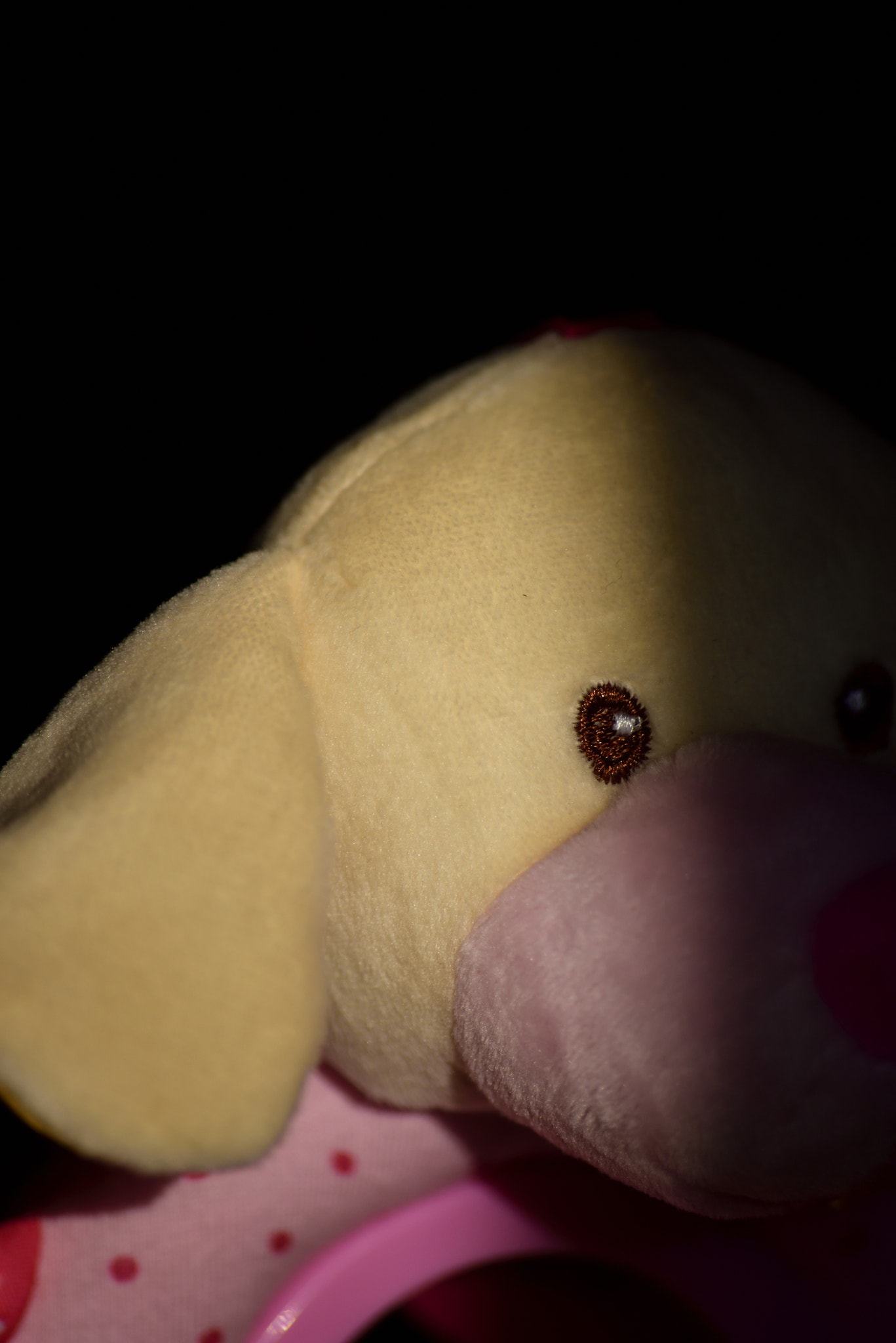 Sigma 70-300mm F4-5.6 APO Macro Super II sample photo. Toy portrait doggy photography