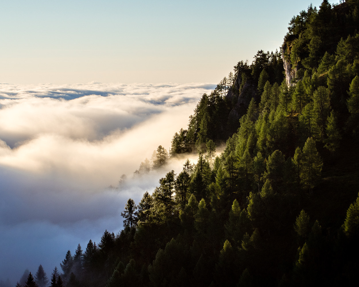 Olympus PEN E-PM2 sample photo. Forrest above the clouds photography